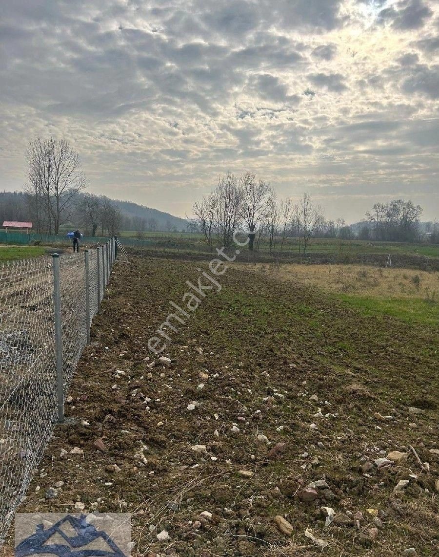 Kandıra Yılmaz Emlak'tan Asvalt Cepheli Yer - Görsel 6
