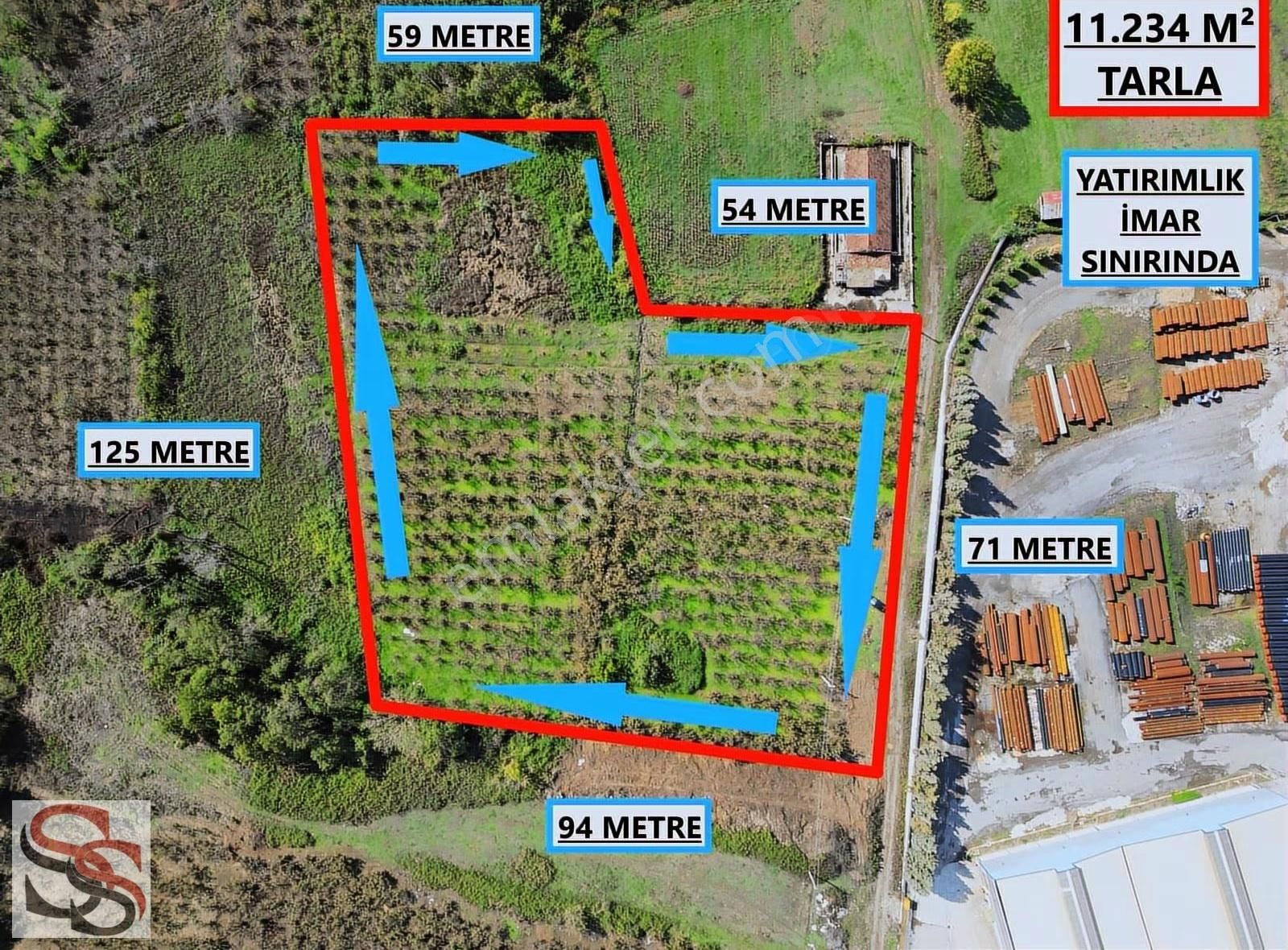 Hendek Başpınar Mah. Yatırımlık İmar Sınırında 11.234 M² Tarla - Görsel 19