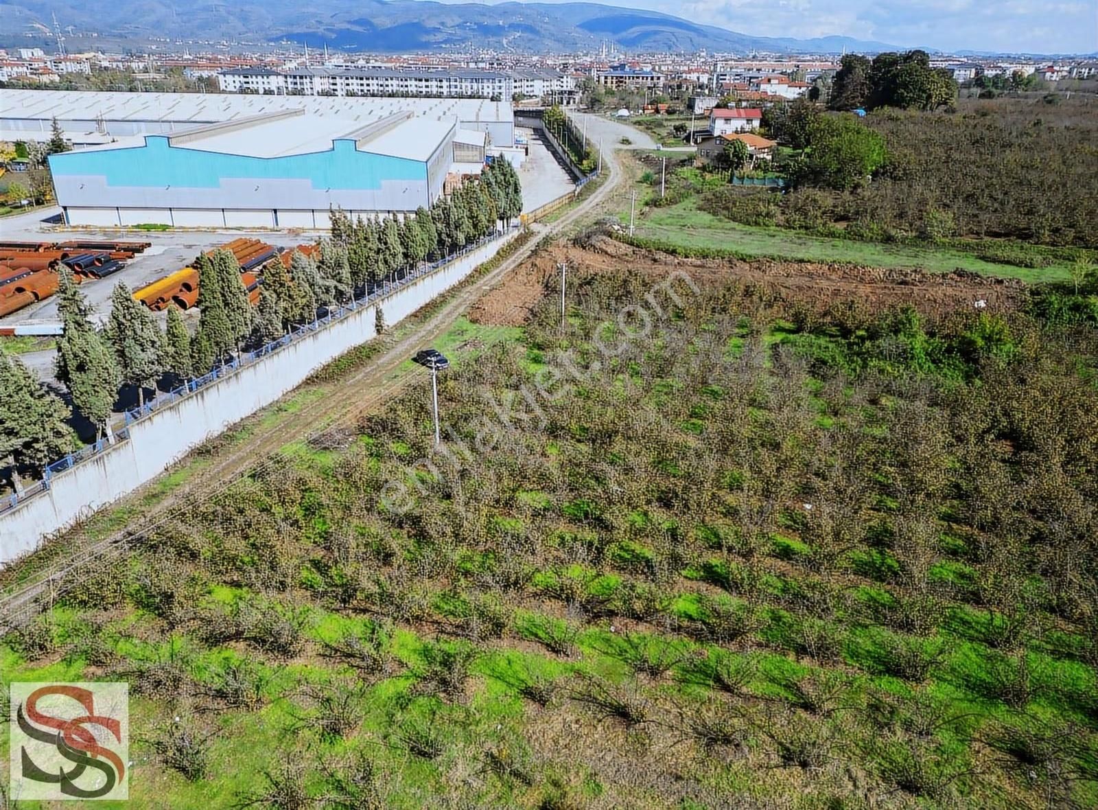 Hendek Başpınar Mah. Yatırımlık İmar Sınırında 11.234 M² Tarla - Görsel 17