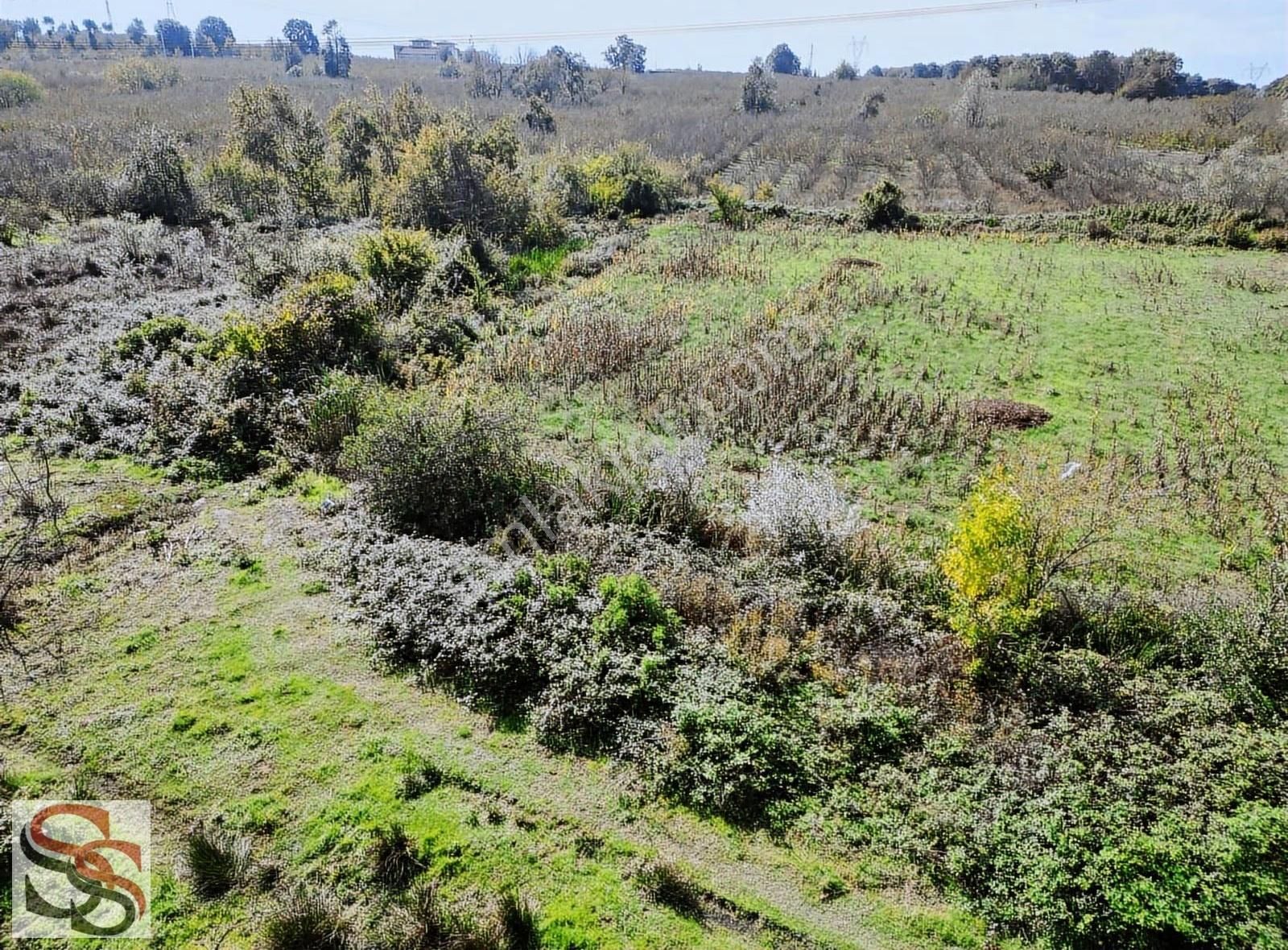 Hendek Başpınar Mah. Yatırımlık İmar Sınırında 11.234 M² Tarla - Görsel 34