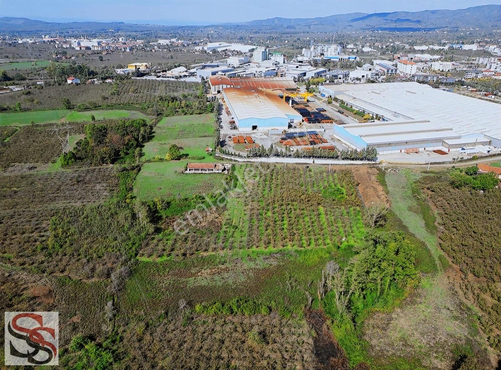 Hendek Başpınar Mah. Yatırımlık İmar Sınırında 11.234 M² Tarla - Görsel 28