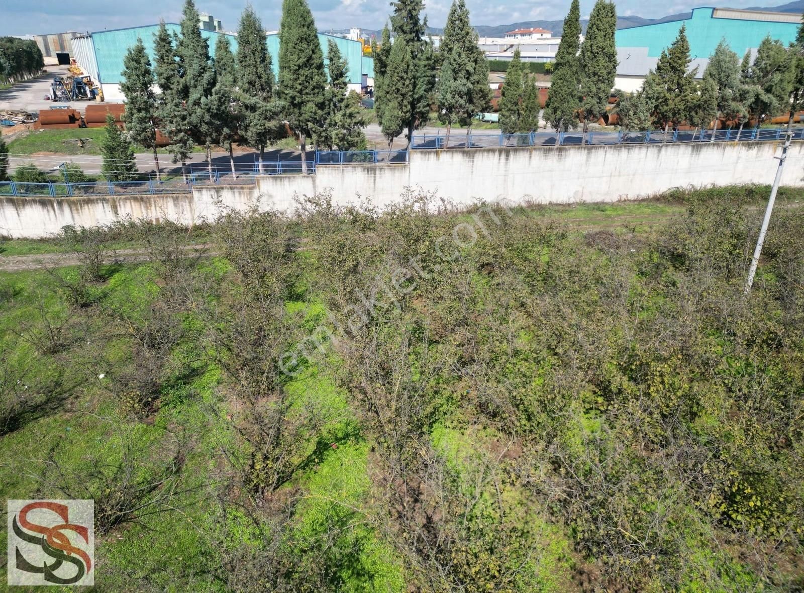 Hendek Başpınar Mah. Yatırımlık İmar Sınırında 11.234 M² Tarla - Görsel 12