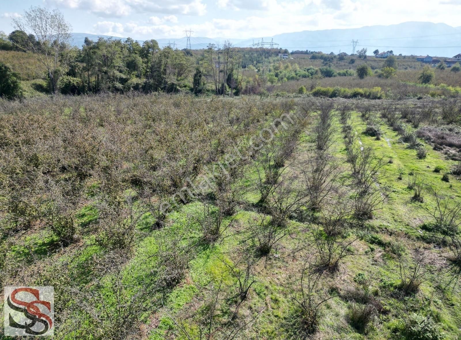 Hendek Başpınar Mah. Yatırımlık İmar Sınırında 11.234 M² Tarla - Görsel 21