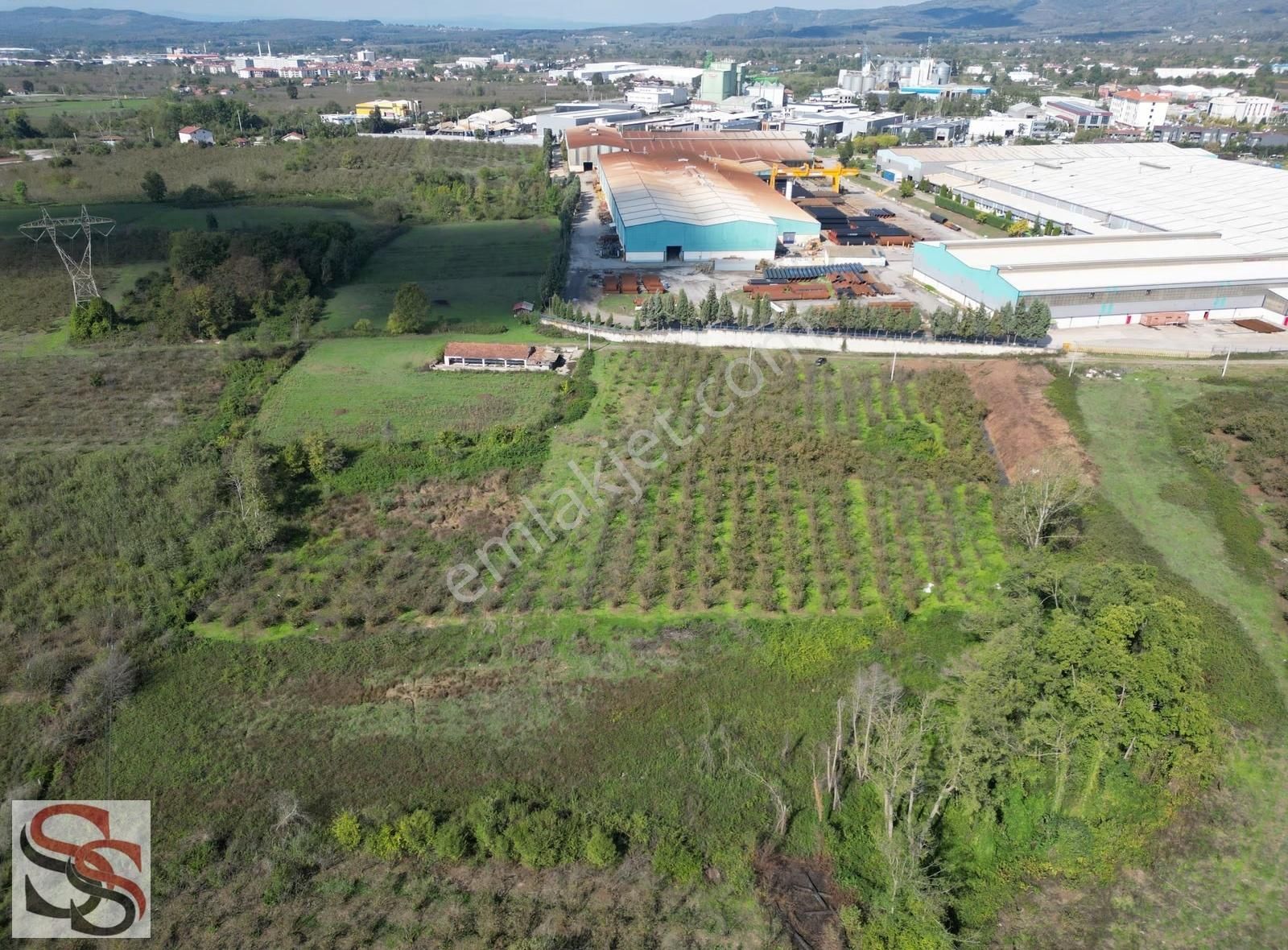 Hendek Başpınar Mah. Yatırımlık İmar Sınırında 11.234 M² Tarla - Görsel 11