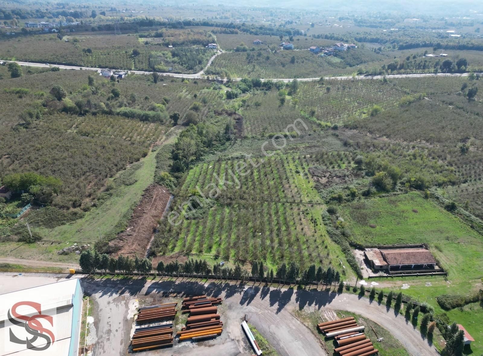 Hendek Başpınar Mah. Yatırımlık İmar Sınırında 11.234 M² Tarla - Görsel 9