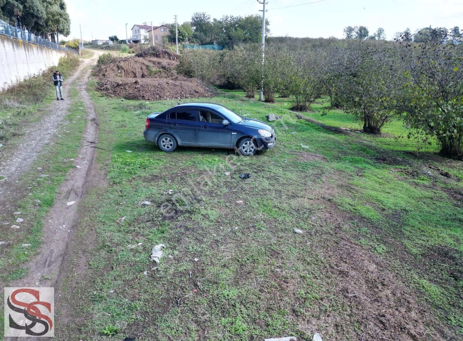 Hendek Başpınar Mah. Yatırımlık İmar Sınırında 11.234 M² Tarla - Görsel 22