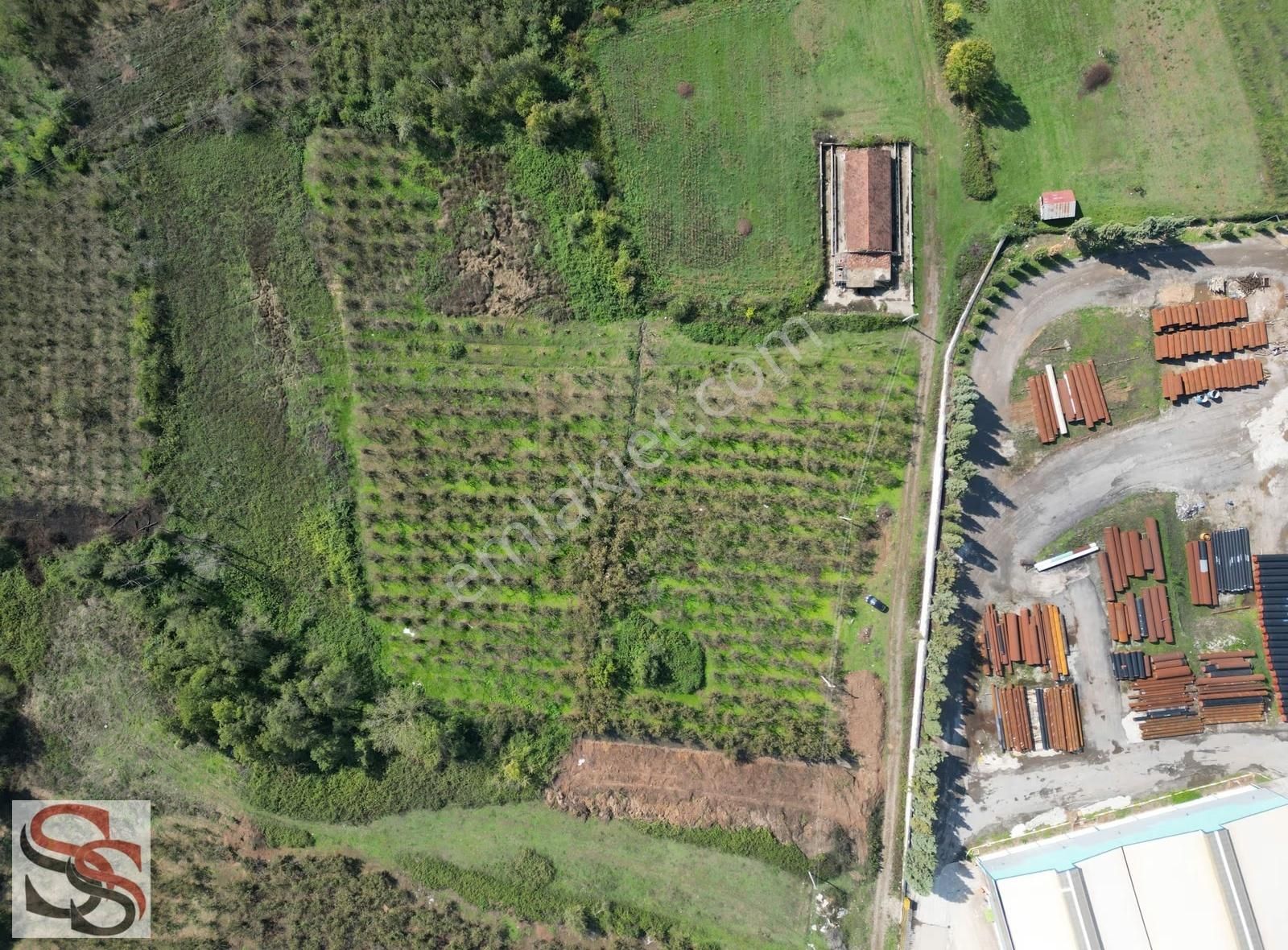 Hendek Başpınar Mah. Yatırımlık İmar Sınırında 11.234 M² Tarla - Görsel 20