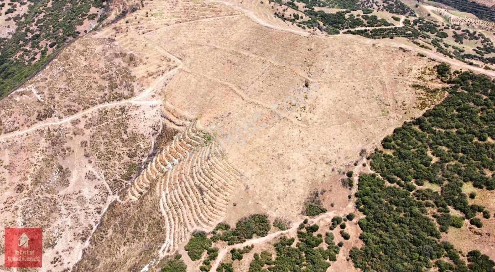 İzmir Tire De Satılık Marjinal Arazi - Görsel 5