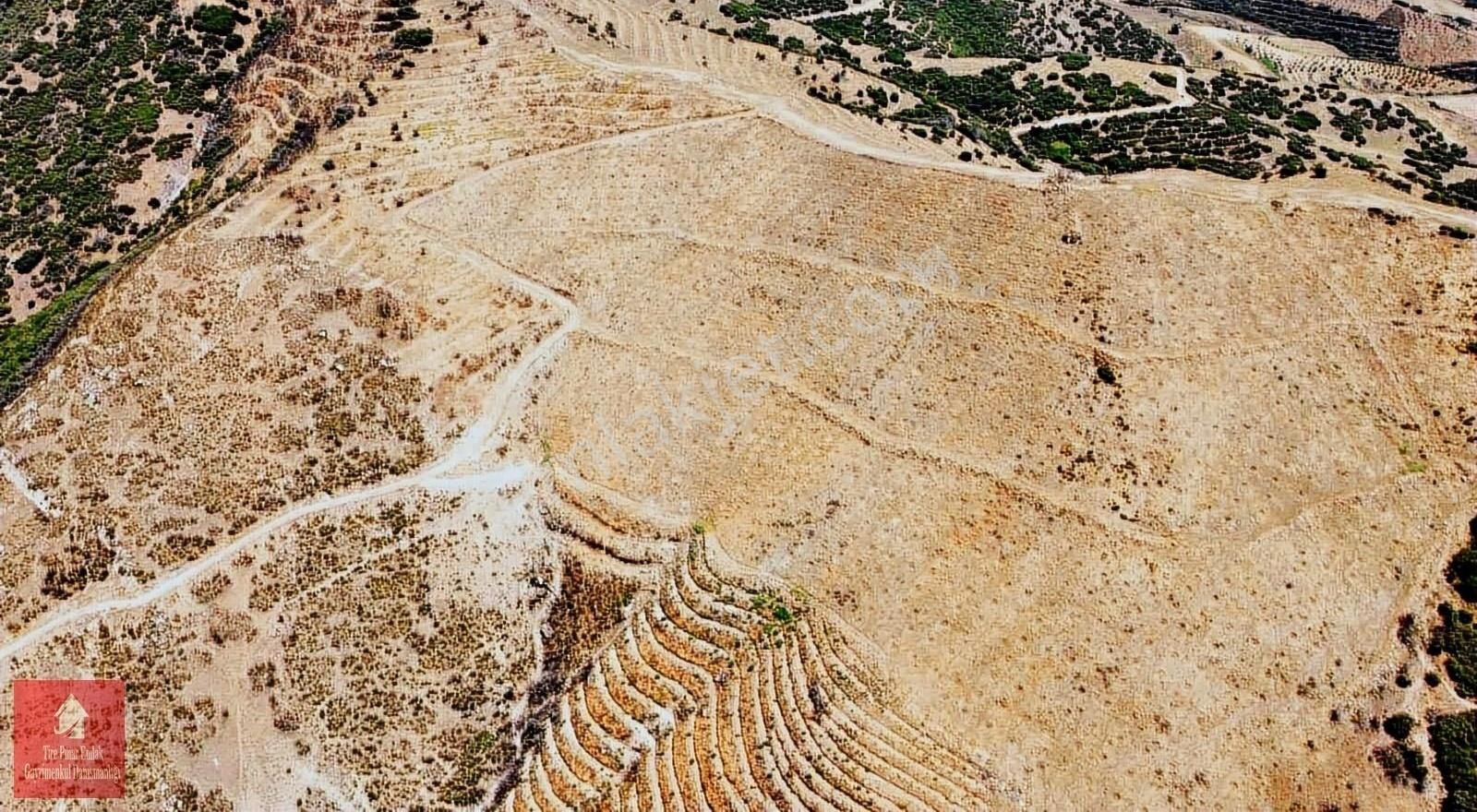 İzmir Tire De Satılık Marjinal Arazi - Görsel 6