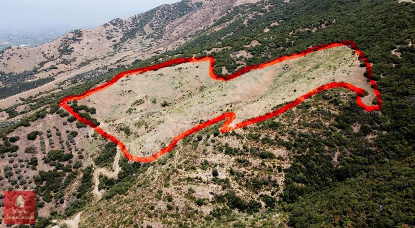 İzmir Tire De Satılık Marjinal Arazi - Görsel 14