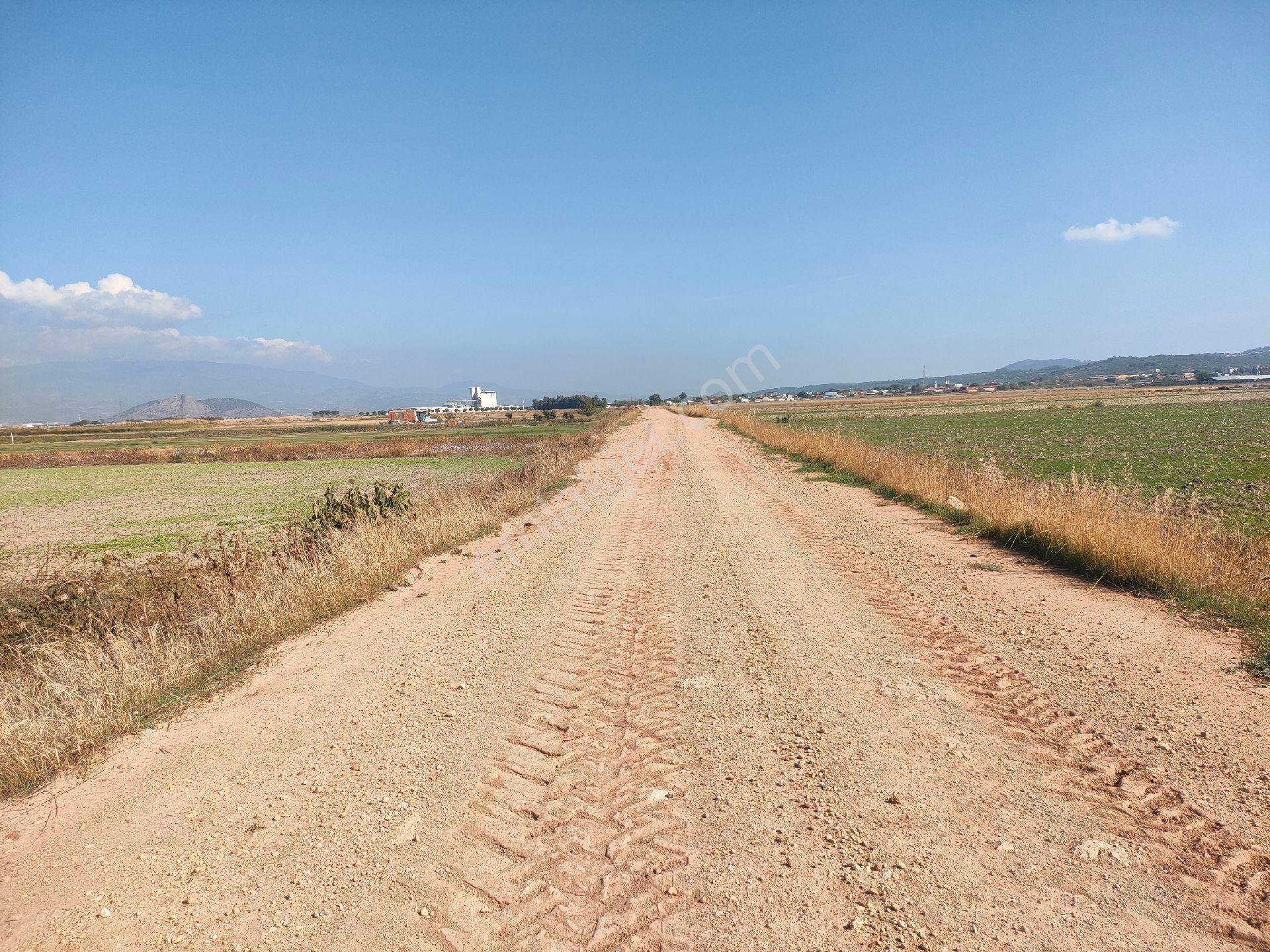 Bergama Yeniköyde Satılık Verimli Tarla - Görsel 10