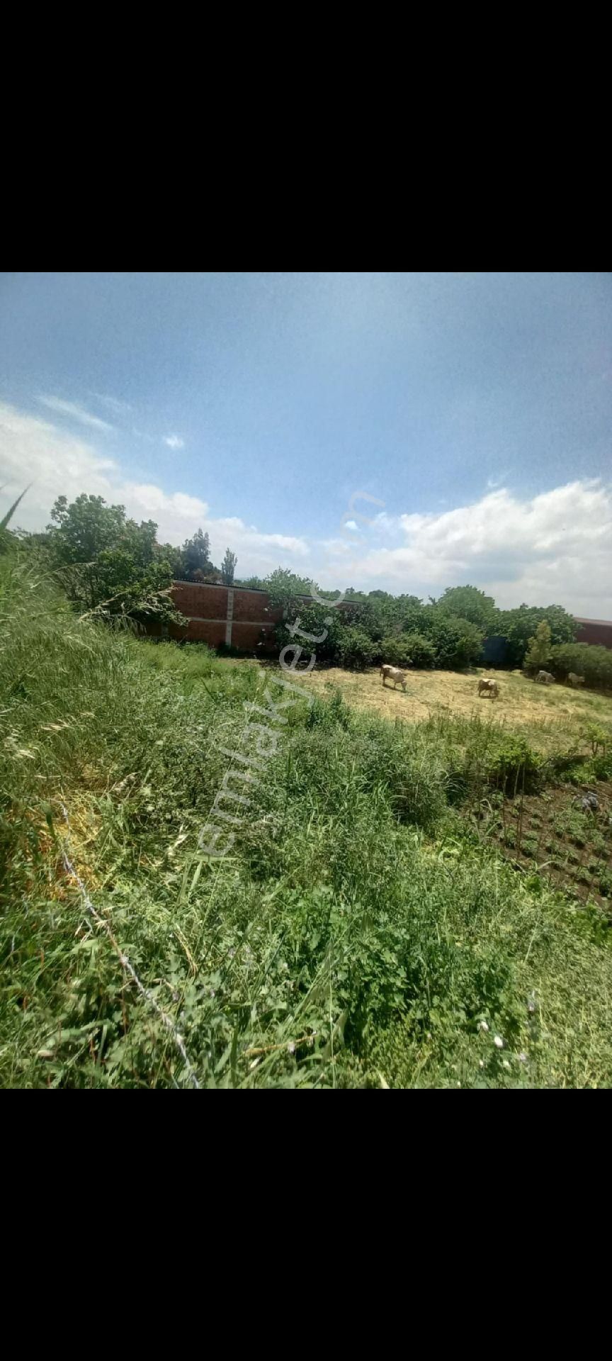 230 M2 Hobi Alanı Bahçe