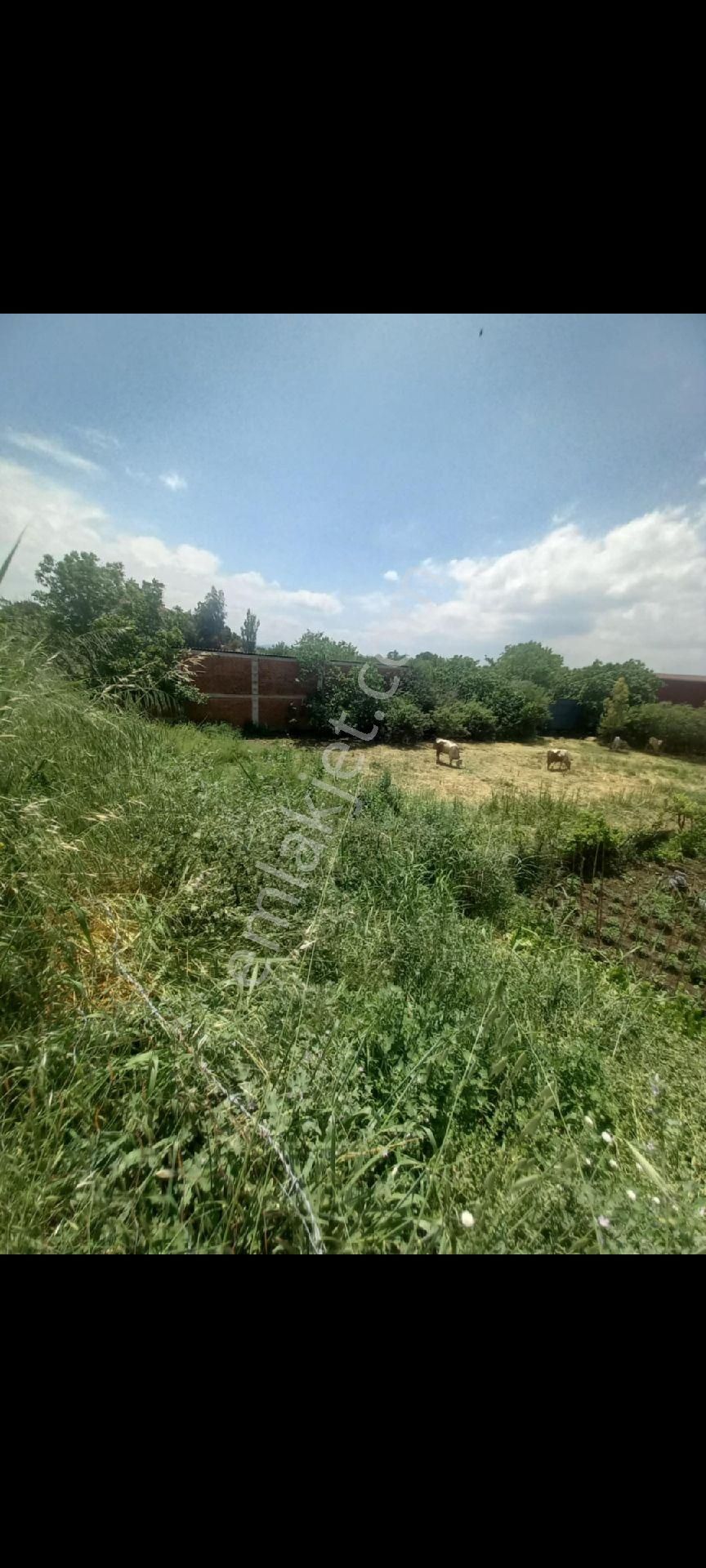 230 M2 Hobi Alanı Bahçe - Görsel 2
