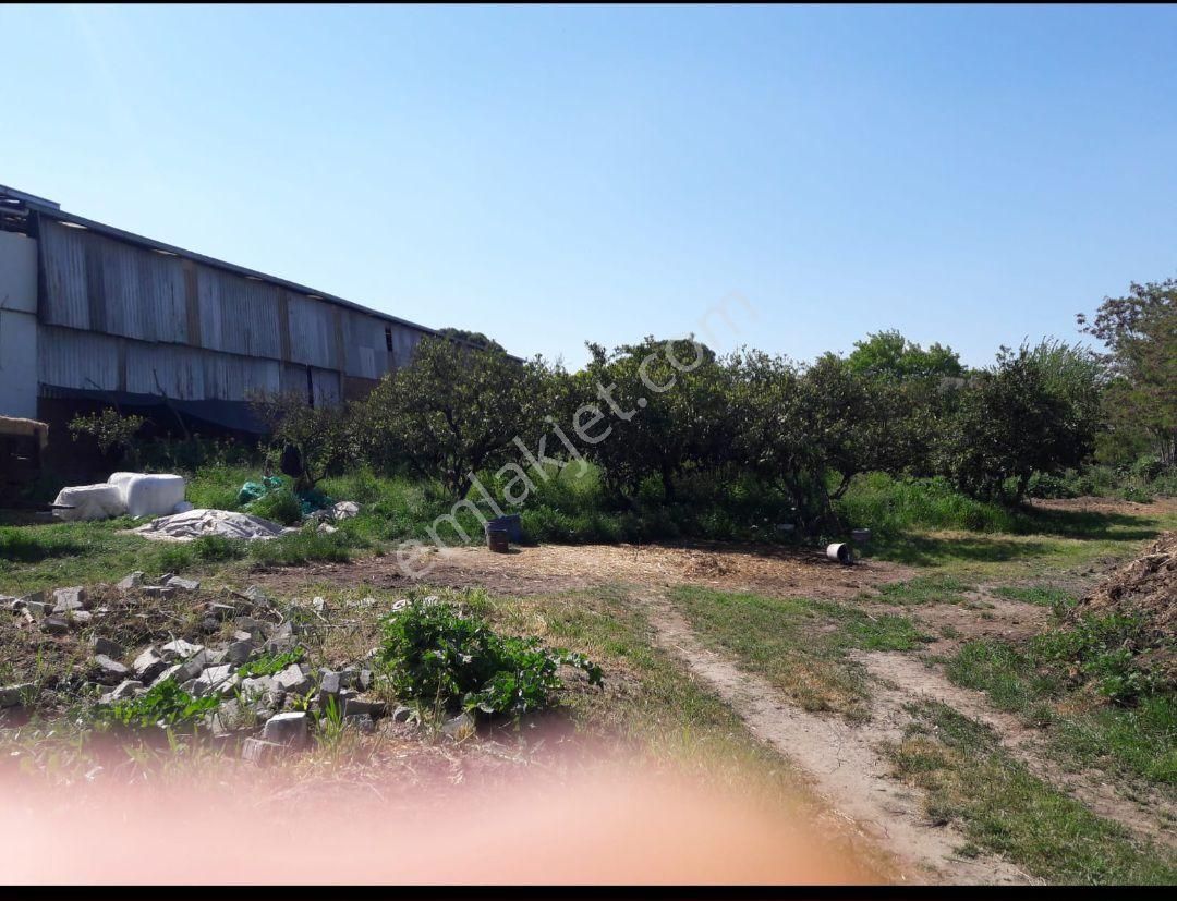 900 M2 Arsa Söke Bagarasında - Görsel 5