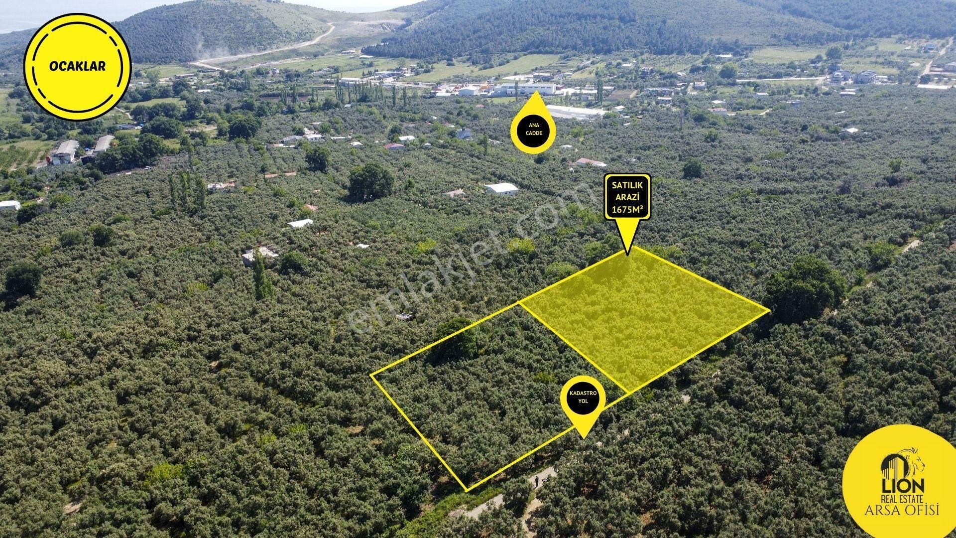 🟨⬛lıon Emlak'tan Ocaklarda Kadastro Yoluna Cephe 3350m² Zeytinliğin 2093m² Lik Hissesi Satılık⬛🟨
