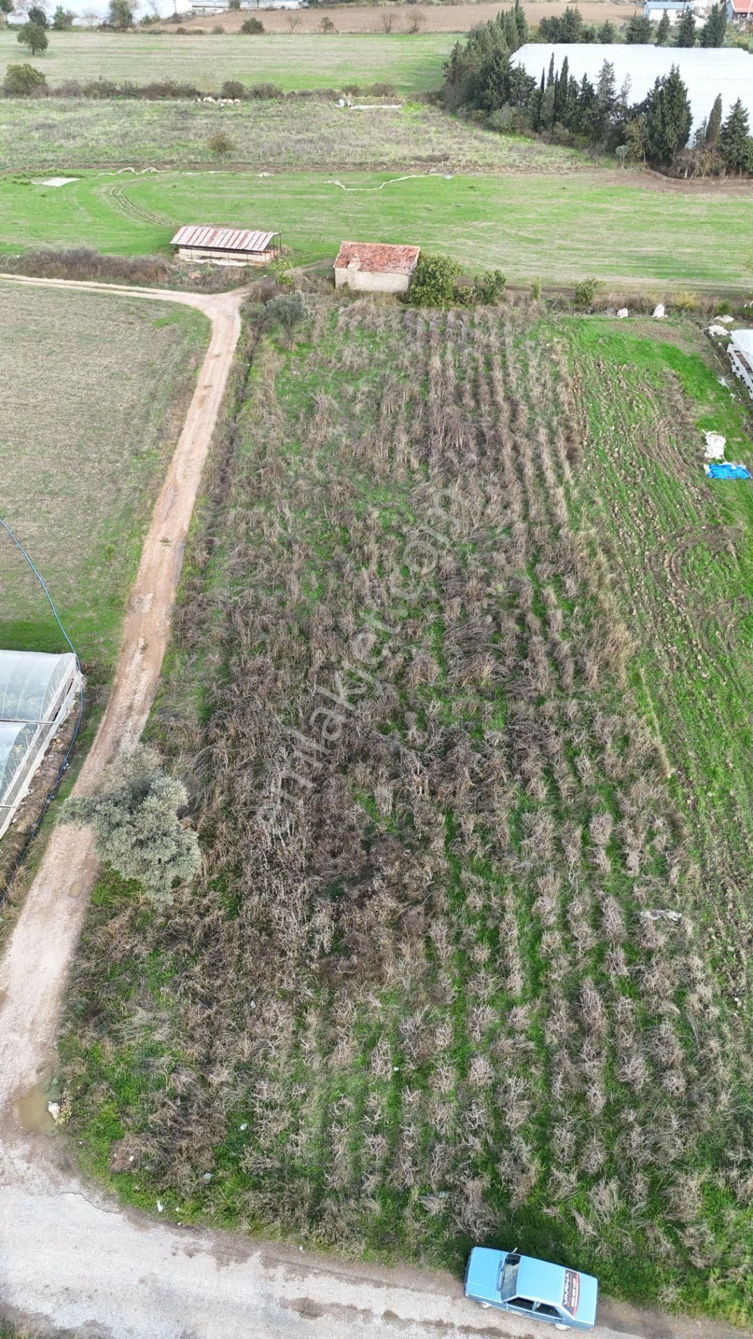 İzmir Değirmenderede Satılık Tektapu 2.650 M2 Yatırımlık Köşe Tarla - Görsel 17