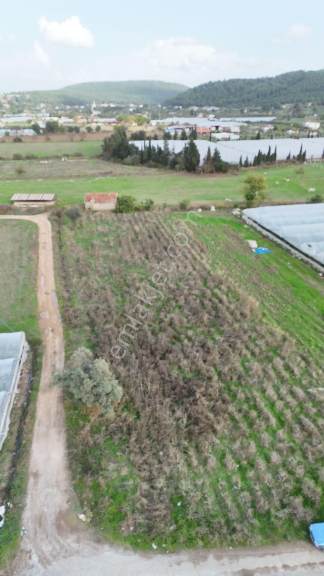 İzmir Değirmenderede Satılık Tektapu 2.650 M2 Yatırımlık Köşe Tarla - Görsel 29