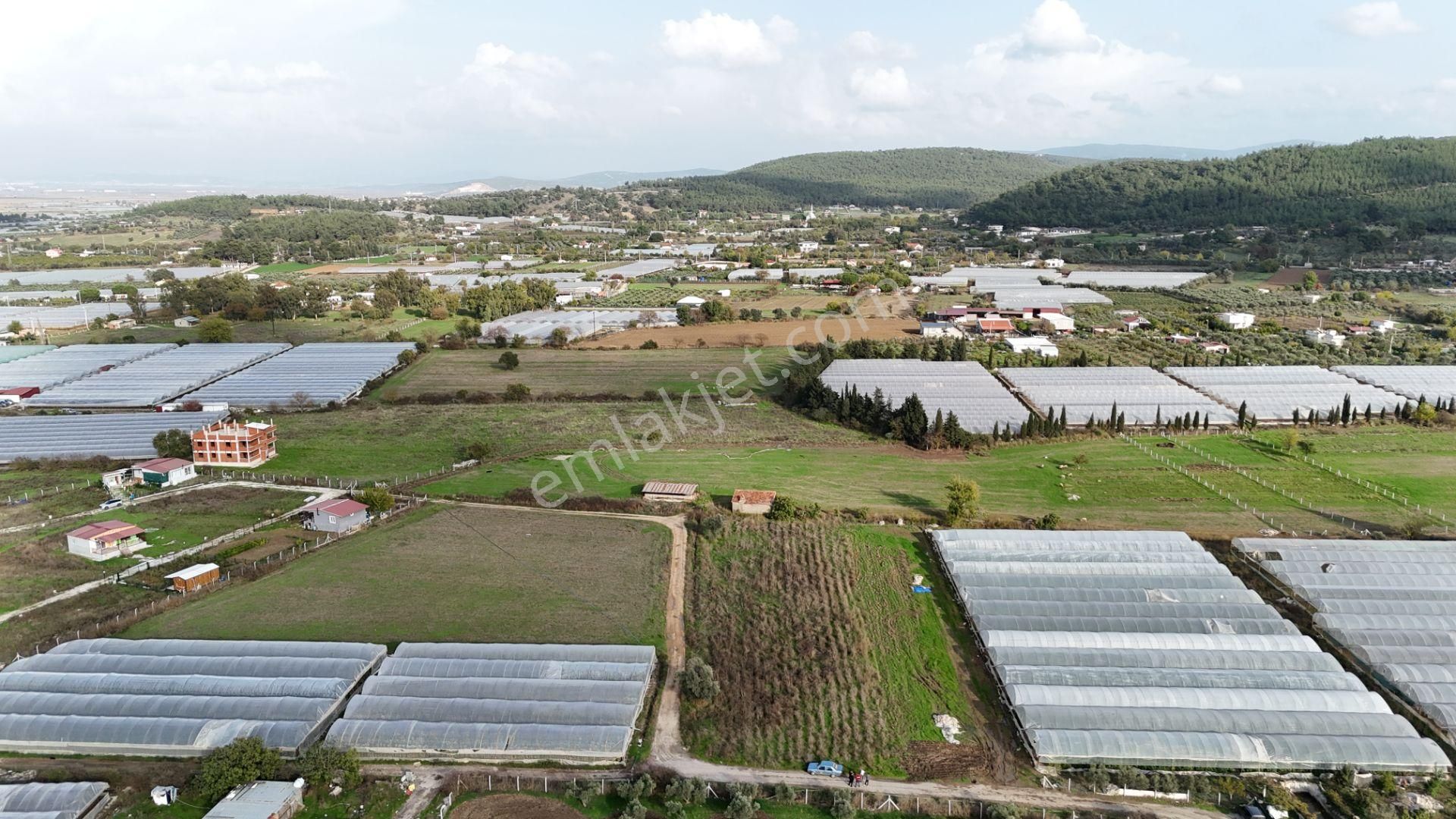 İzmir Değirmenderede Satılık Tektapu 2.650 M2 Yatırımlık Köşe Tarla - Görsel 6