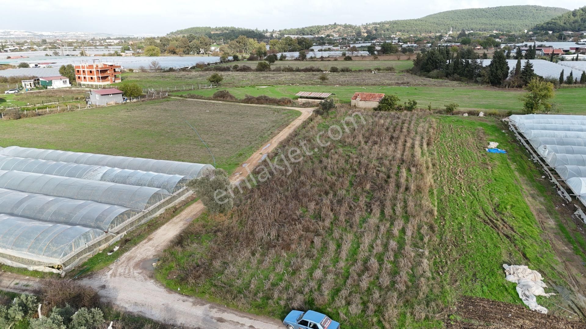 İzmir Değirmenderede Satılık Tektapu 2.650 M2 Yatırımlık Köşe Tarla - Görsel 14