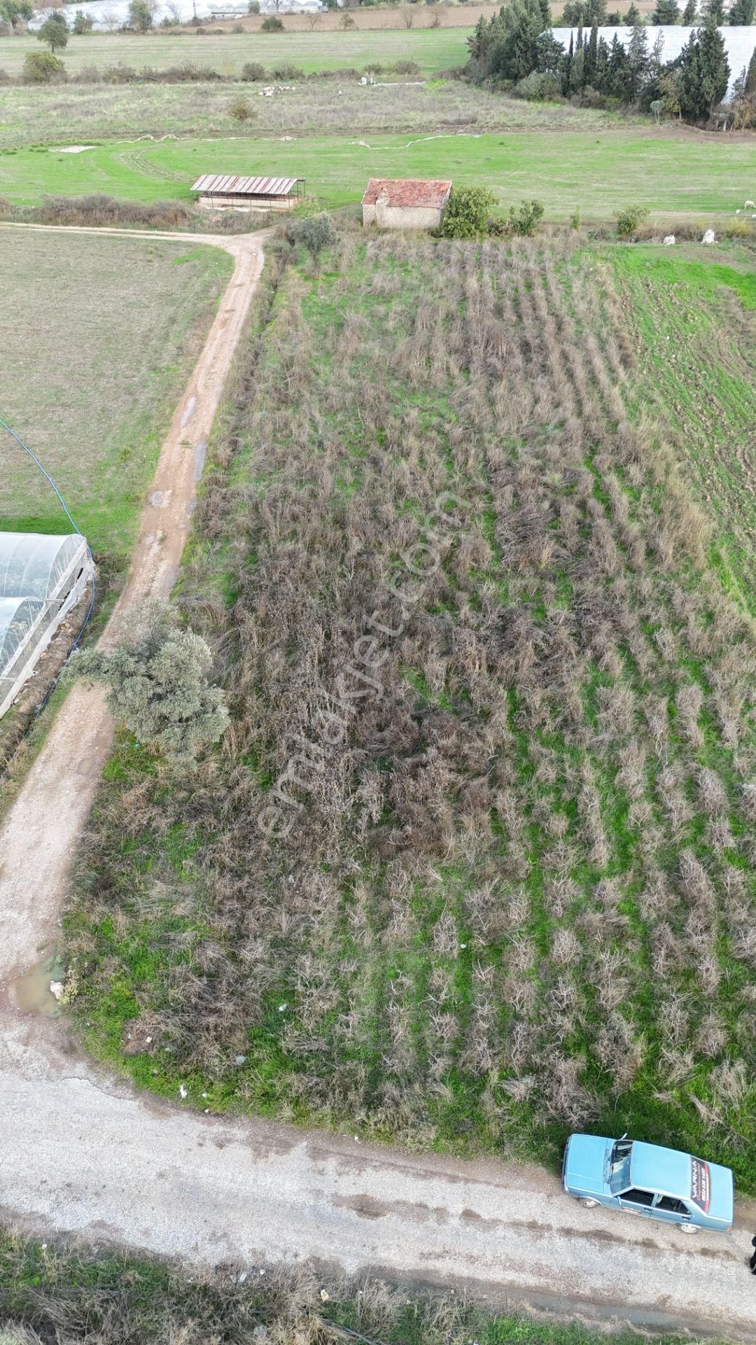 İzmir Değirmenderede Satılık Tektapu 2.650 M2 Yatırımlık Köşe Tarla - Görsel 32