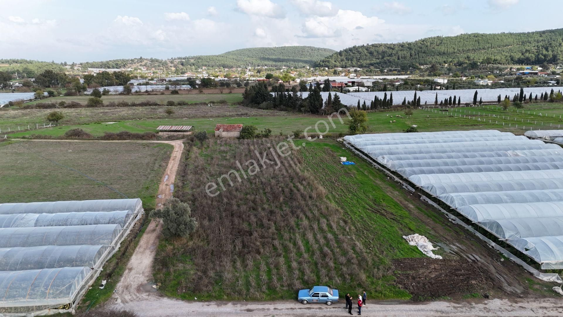 İzmir Değirmenderede Satılık Tektapu 2.650 M2 Yatırımlık Köşe Tarla - Görsel 2