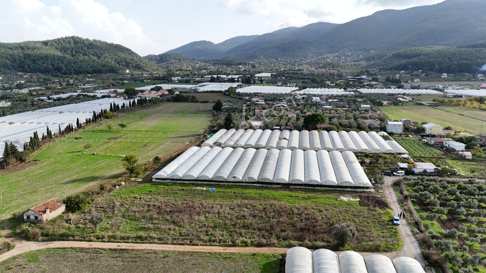 İzmir Değirmenderede Satılık Tektapu 2.650 M2 Yatırımlık Köşe Tarla - Görsel 10