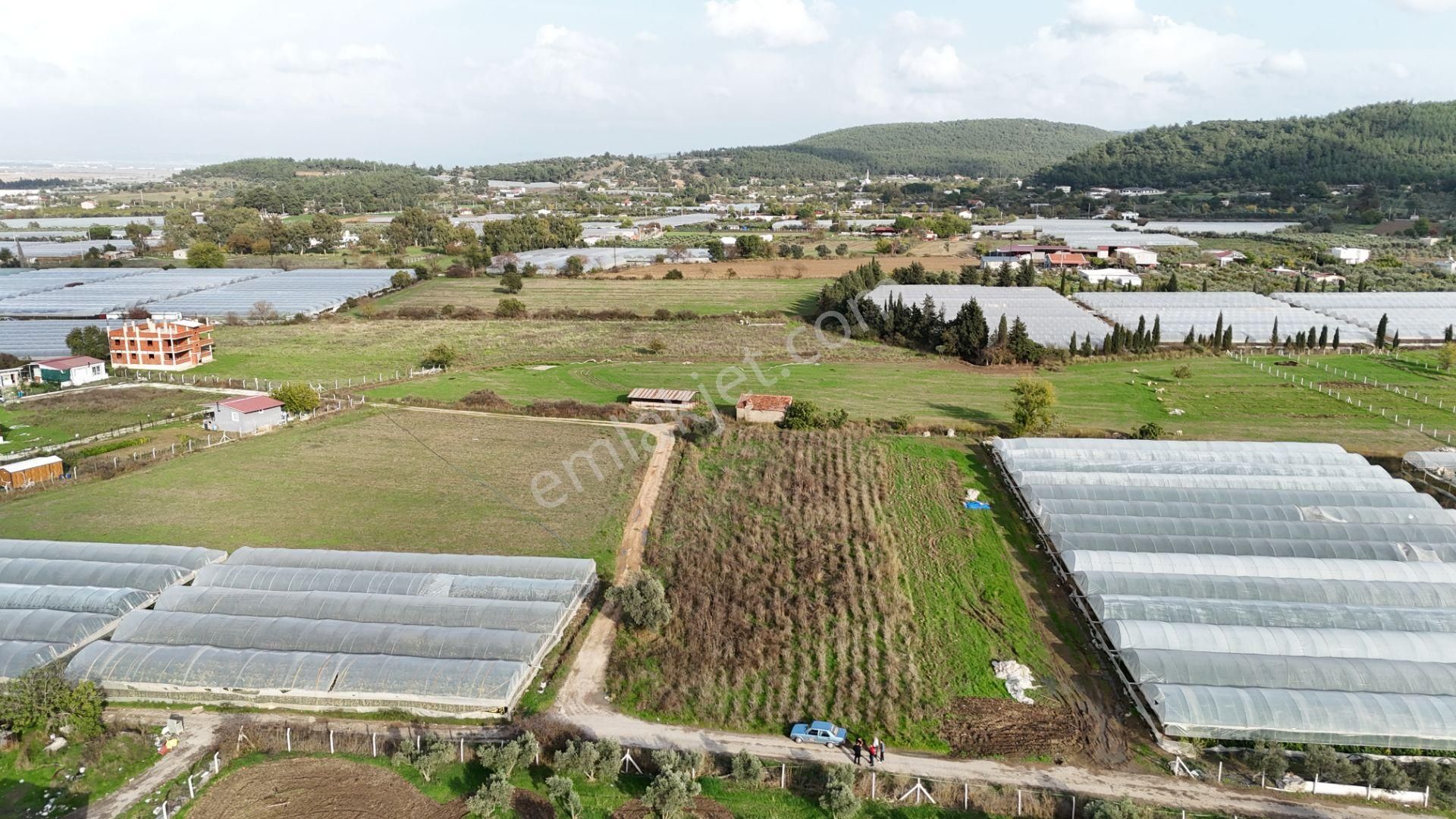 İzmir Değirmenderede Satılık Tektapu 2.650 M2 Yatırımlık Köşe Tarla - Görsel 8