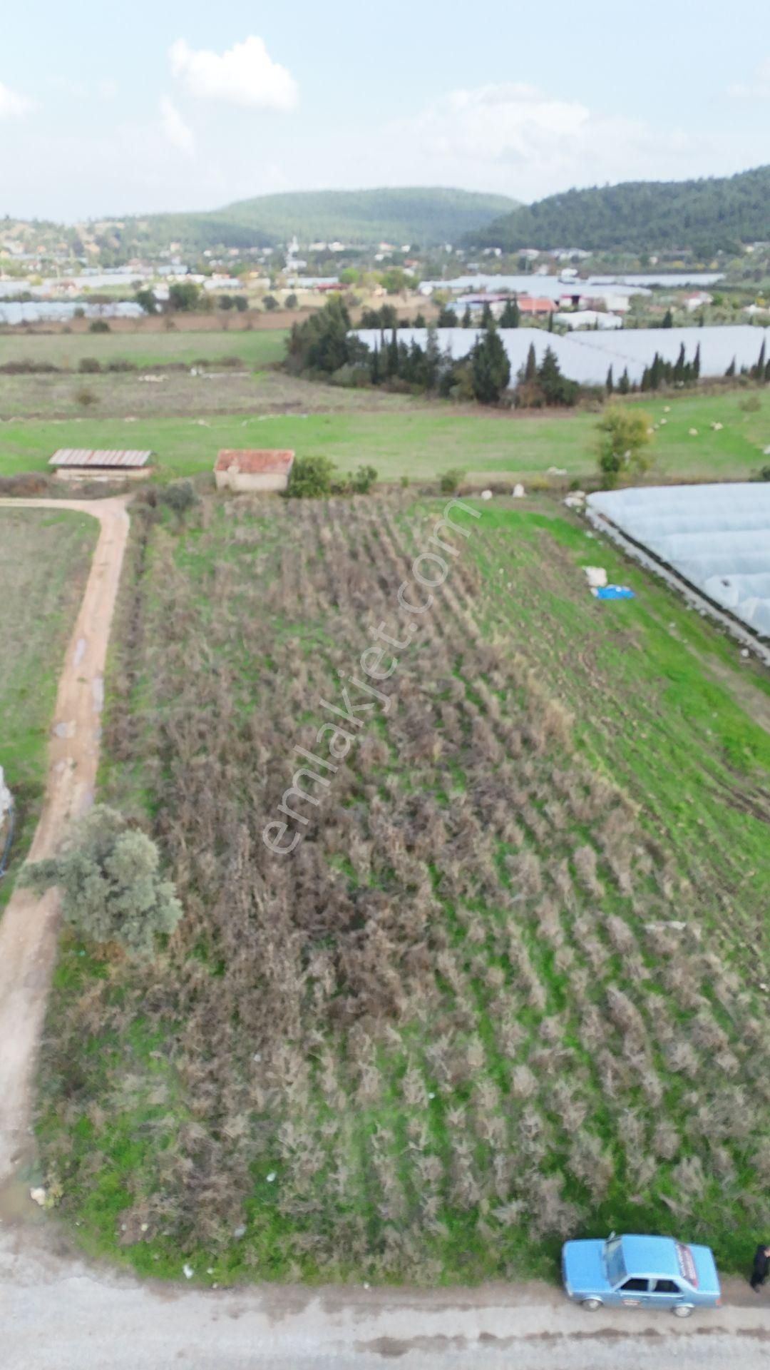 İzmir Değirmenderede Satılık Tektapu 2.650 M2 Yatırımlık Köşe Tarla - Görsel 30