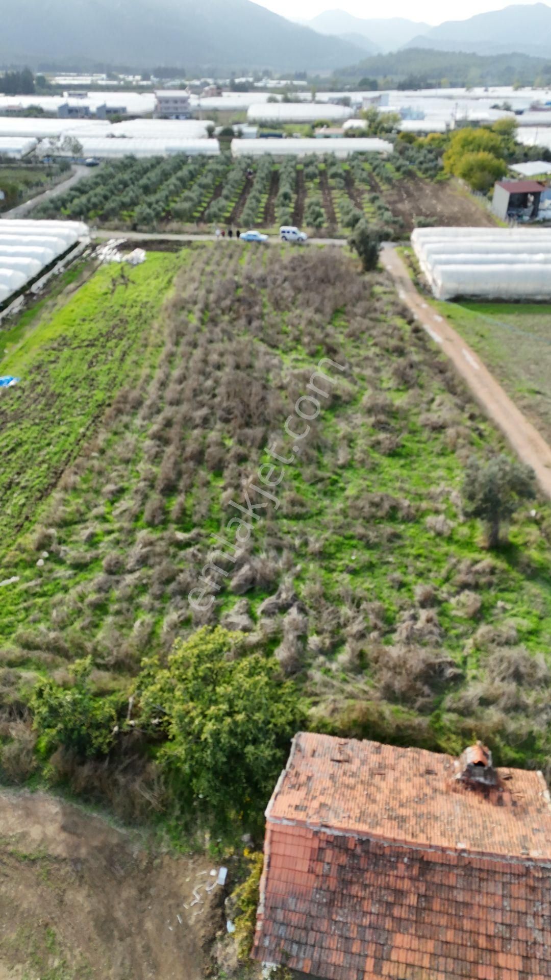 İzmir Değirmenderede Satılık Tektapu 2.650 M2 Yatırımlık Köşe Tarla - Görsel 27