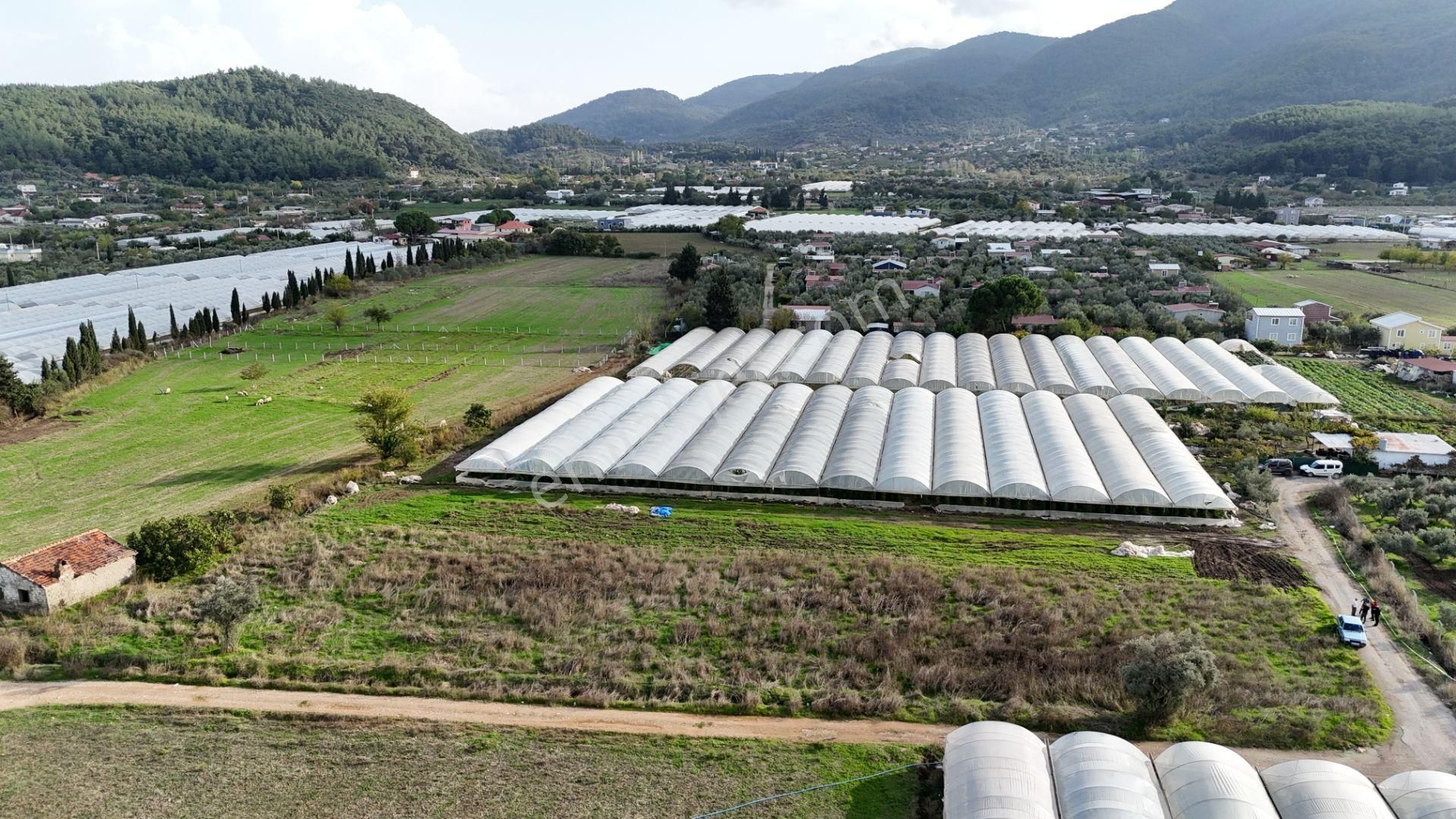 İzmir Değirmenderede Satılık Tektapu 2.650 M2 Yatırımlık Köşe Tarla - Görsel 11