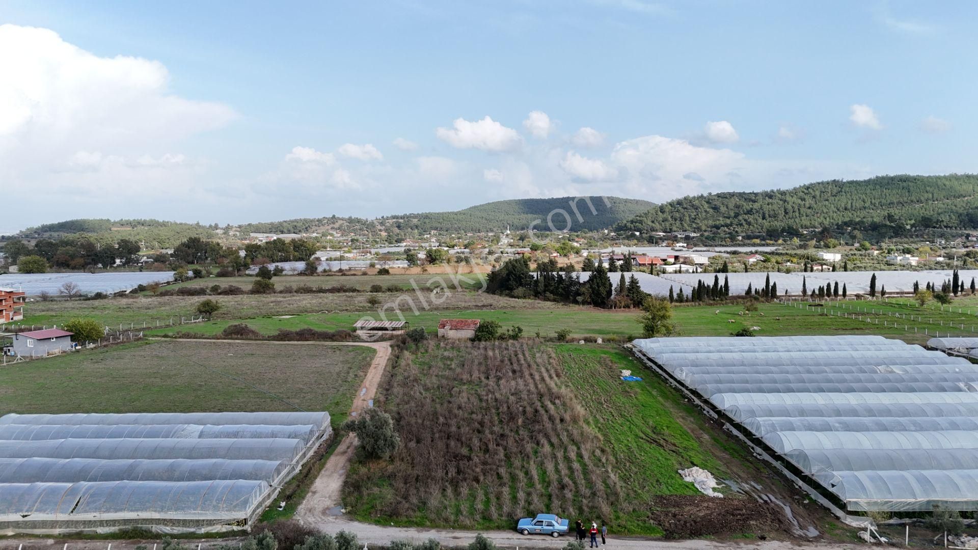 İzmir Değirmenderede Satılık Tektapu 2.650 M2 Yatırımlık Köşe Tarla - Görsel 5