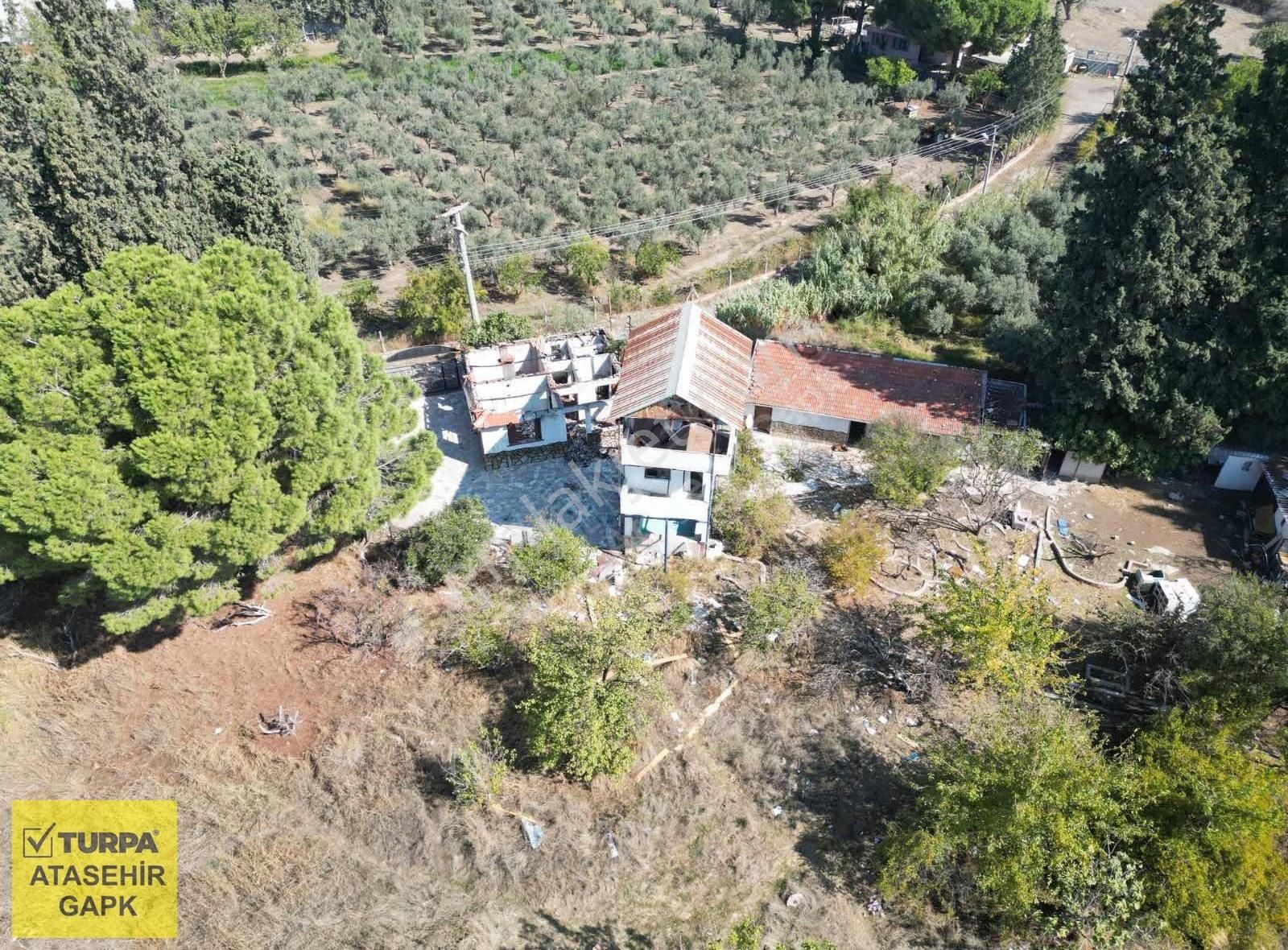 Menemen'de Kiralık Çiftlik - Görsel 7