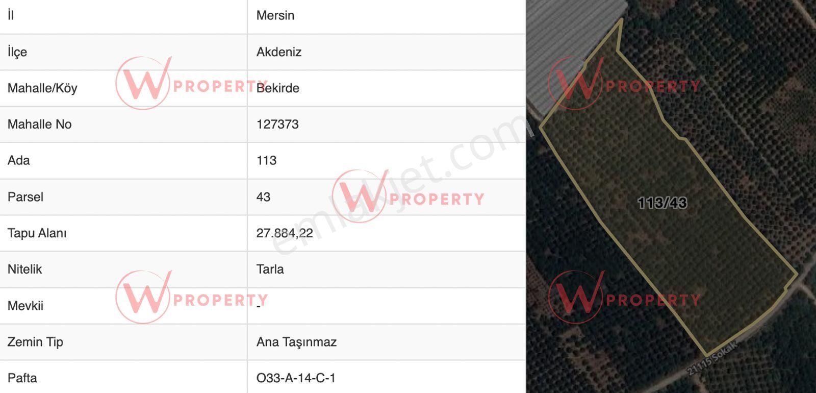 W Property'den Satılık Bekirde'de Bakımlı Narenciye Bahçesi - Görsel 8