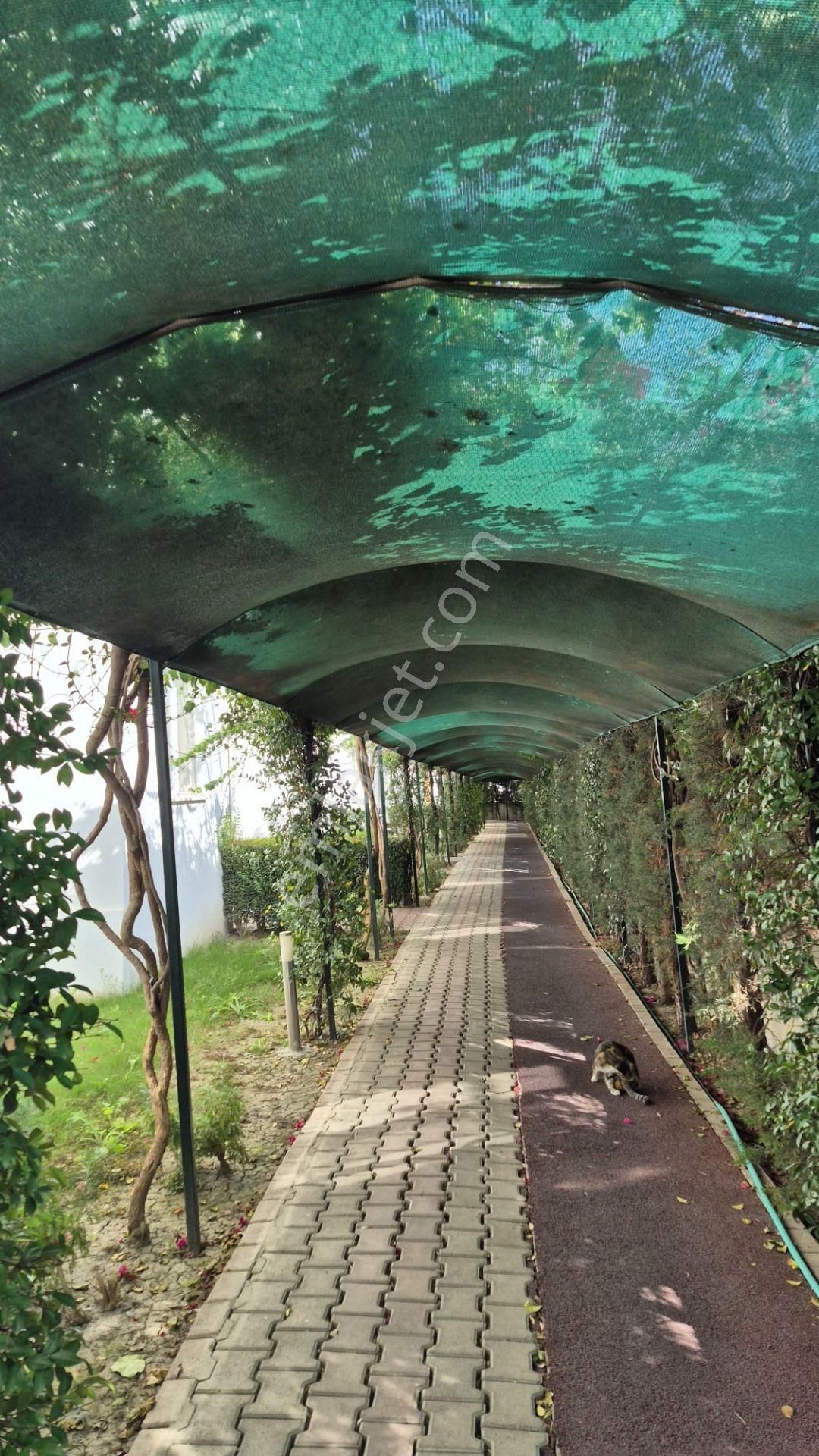 Altaş Emlak'tan Full Eşyalı 2+1 Satılık Daire - Görsel 7