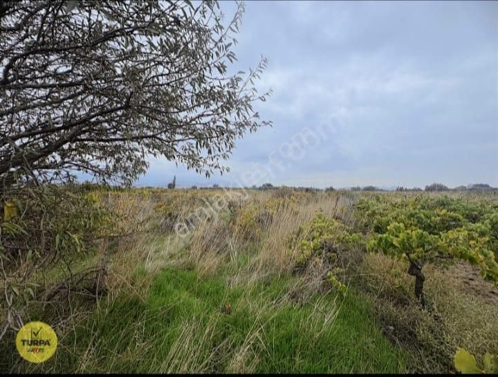 Turpa Arxes'ten Menemen Belen Mah 2100 M2 Bağ Satılık - Görsel 6
