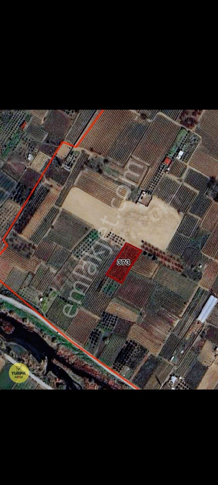 Turpa Arxes'ten Menemen Belen Mah 2100 M2 Bağ Satılık - Görsel 3