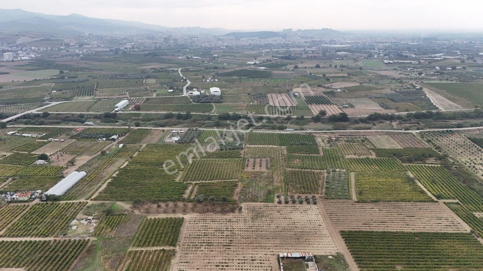 Turpa Arxes'ten Menemen Belen Mah 2100 M2 Bağ Satılık - Görsel 10