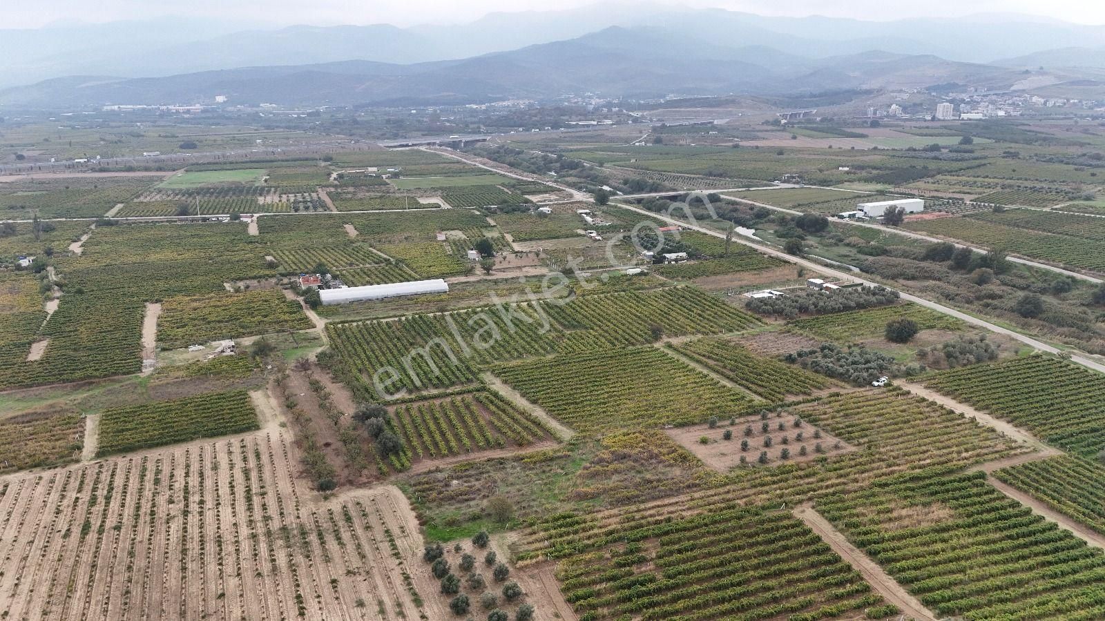 Turpa Arxes'ten Menemen Belen Mah 2100 M2 Bağ Satılık - Görsel 9