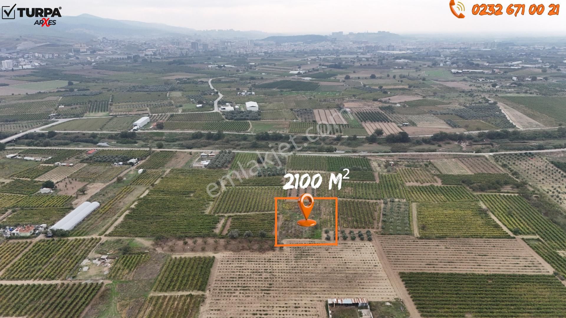 Turpa Arxes'ten Menemen Belen Mah 2100 M2 Bağ Satılık - Görsel 2