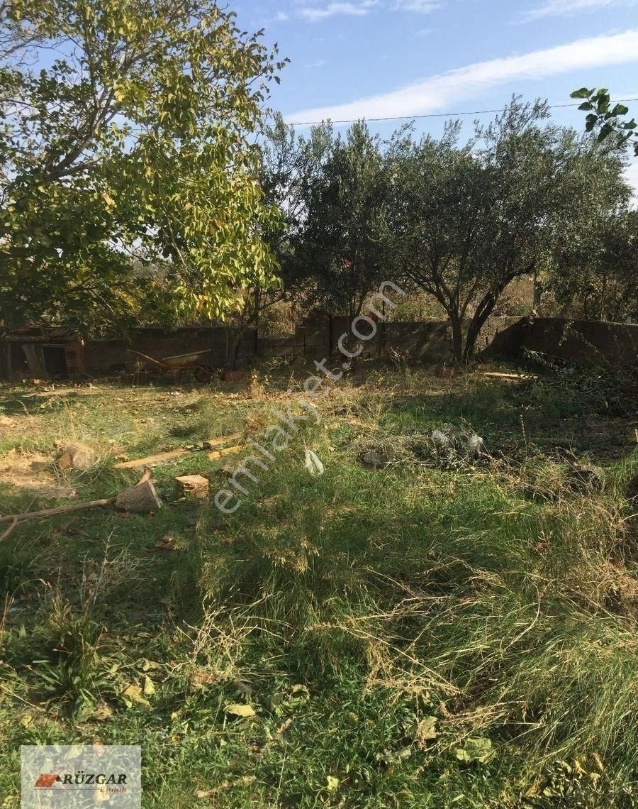 Taylıelinde 693 M2 İçinde Müstakil Evi Bulunan İmar Dibi Arazimiz Satılıktır - Görsel 6