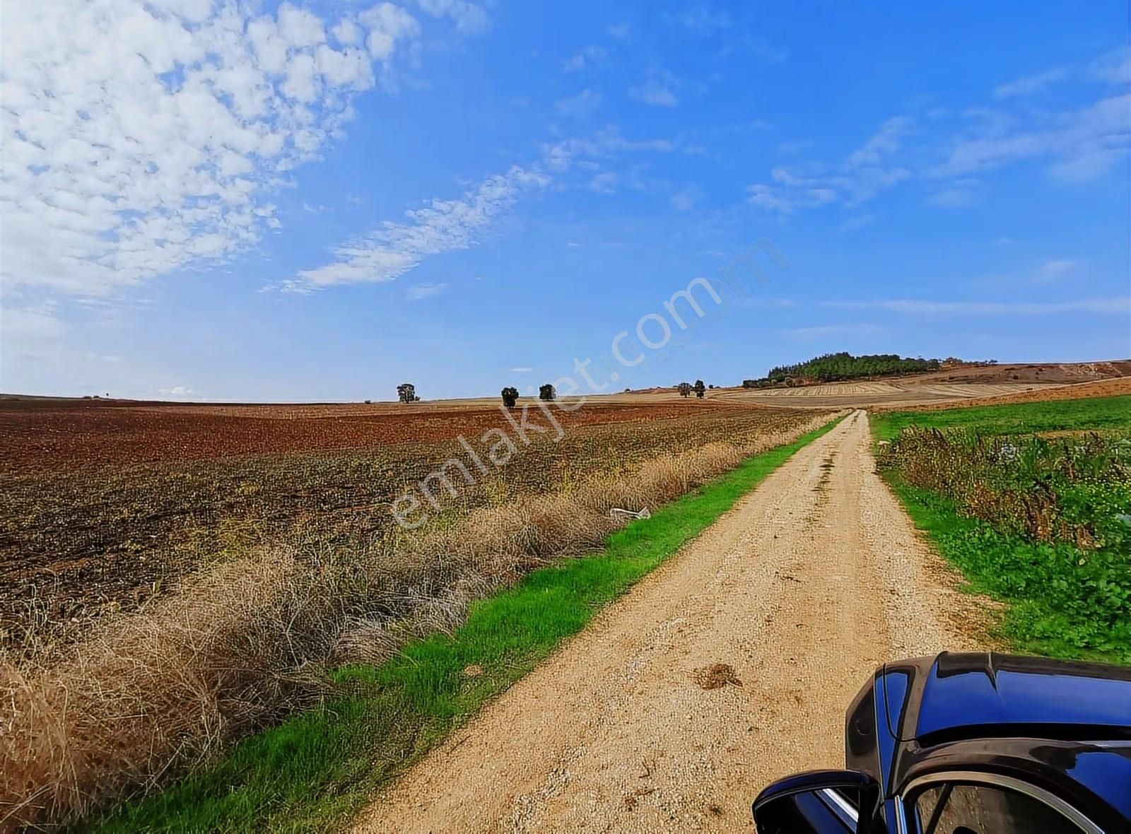Bursa Yenişehir Afşar Mah.de Yolu Ve Suyu Olan Satılık Tarla