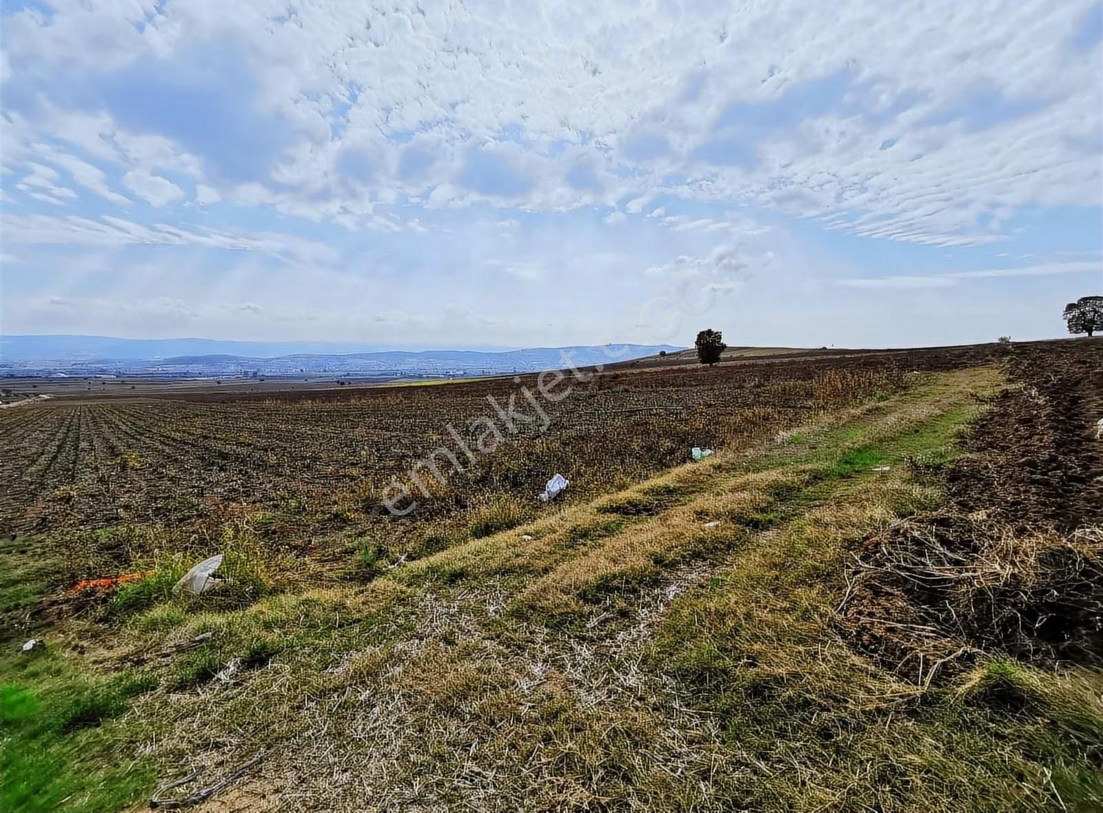 Bursa Yenişehir Afşar Mah.de Yolu Ve Suyu Olan Satılık Tarla - Görsel 9