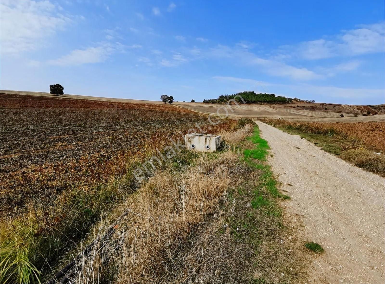 Bursa Yenişehir Afşar Mah.de Yolu Ve Suyu Olan Satılık Tarla - Görsel 15