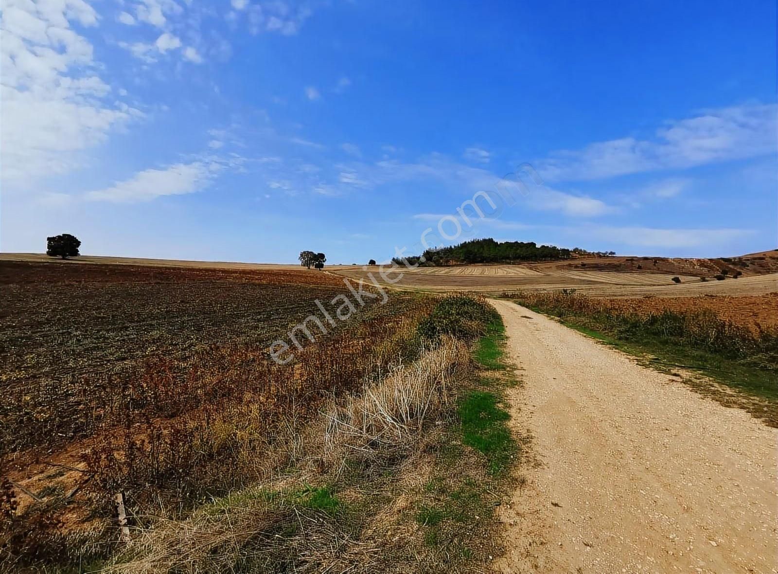 Bursa Yenişehir Afşar Mah.de Yolu Ve Suyu Olan Satılık Tarla - Görsel 14