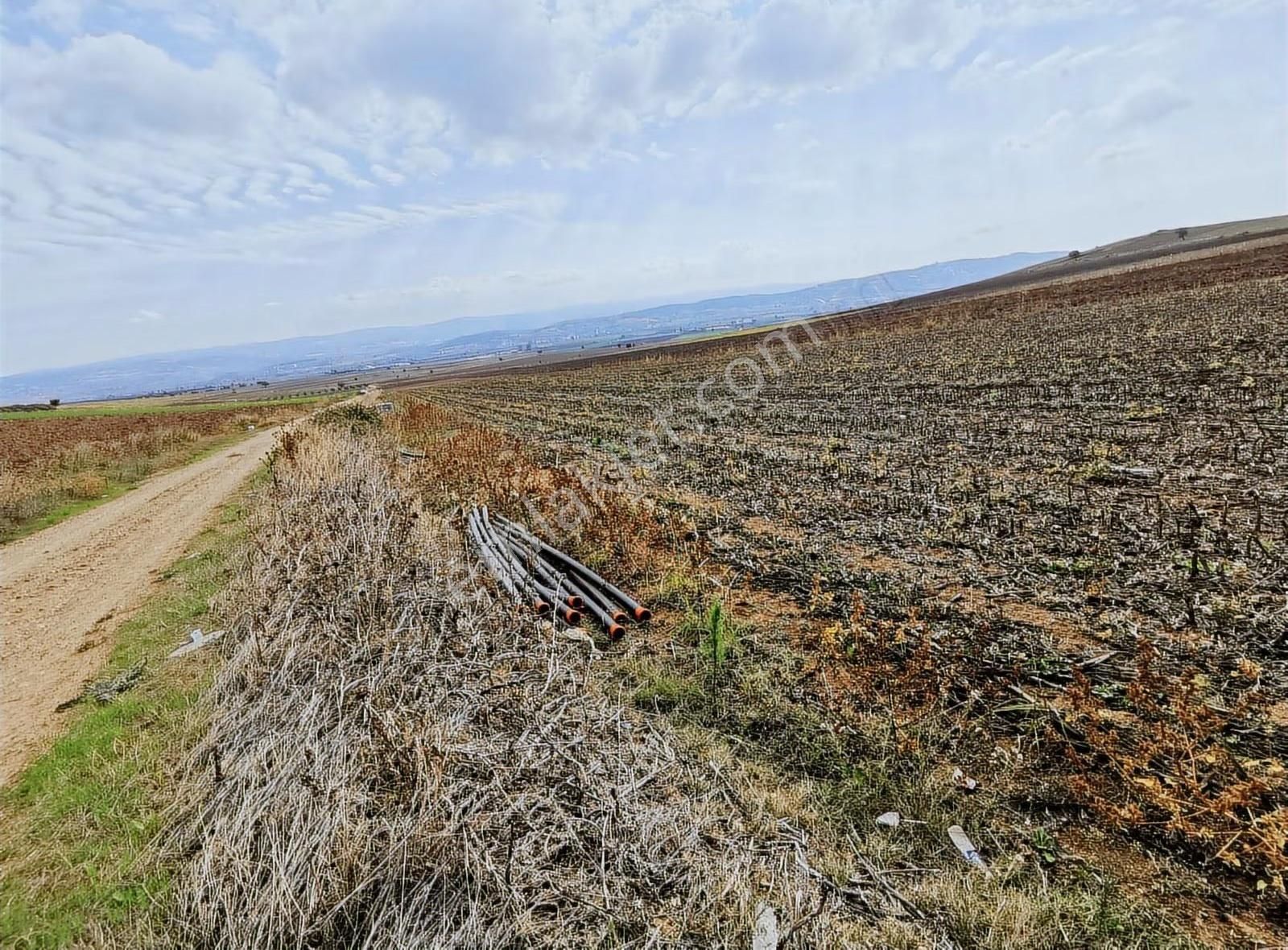 Bursa Yenişehir Afşar Mah.de Yolu Ve Suyu Olan Satılık Tarla - Görsel 5