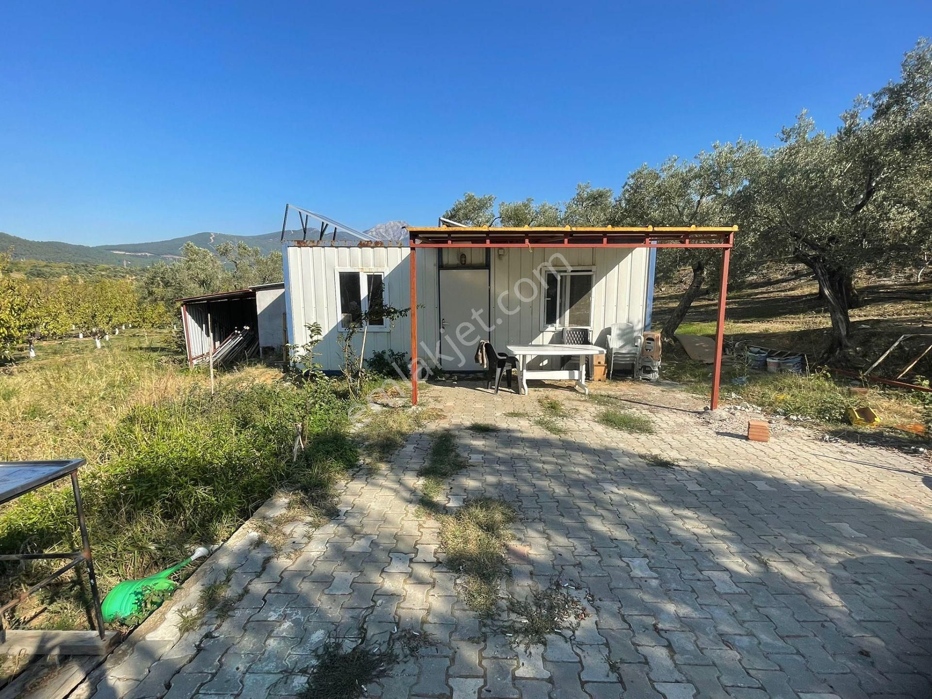 Kemalpaşa Vişneli'de 19.059m² İki Parça Kiraz Bahçesi - Görsel 27