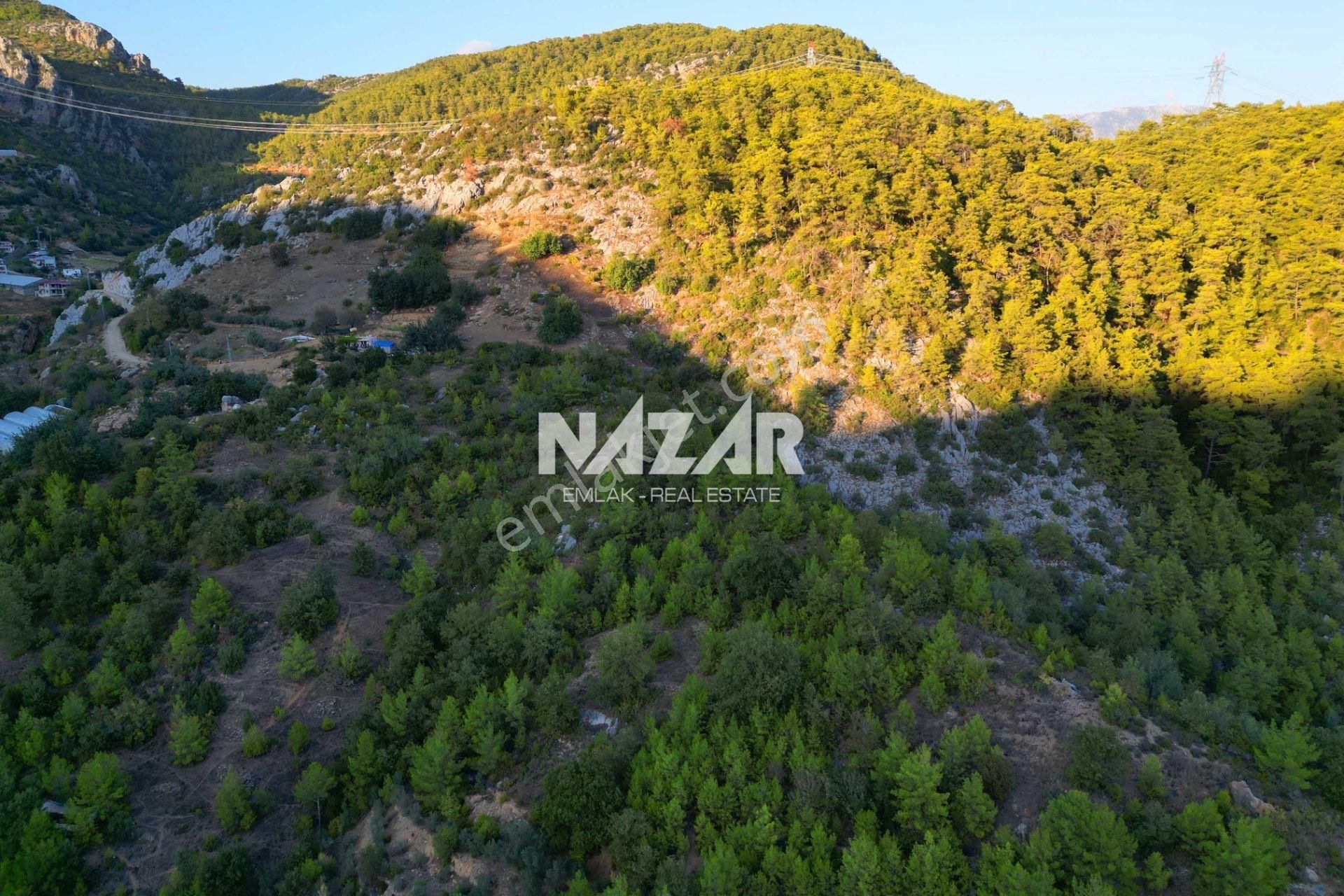 Alanya Kocaoğlanlı'da 1.567 M² Satılık Tarla - Görsel 8
