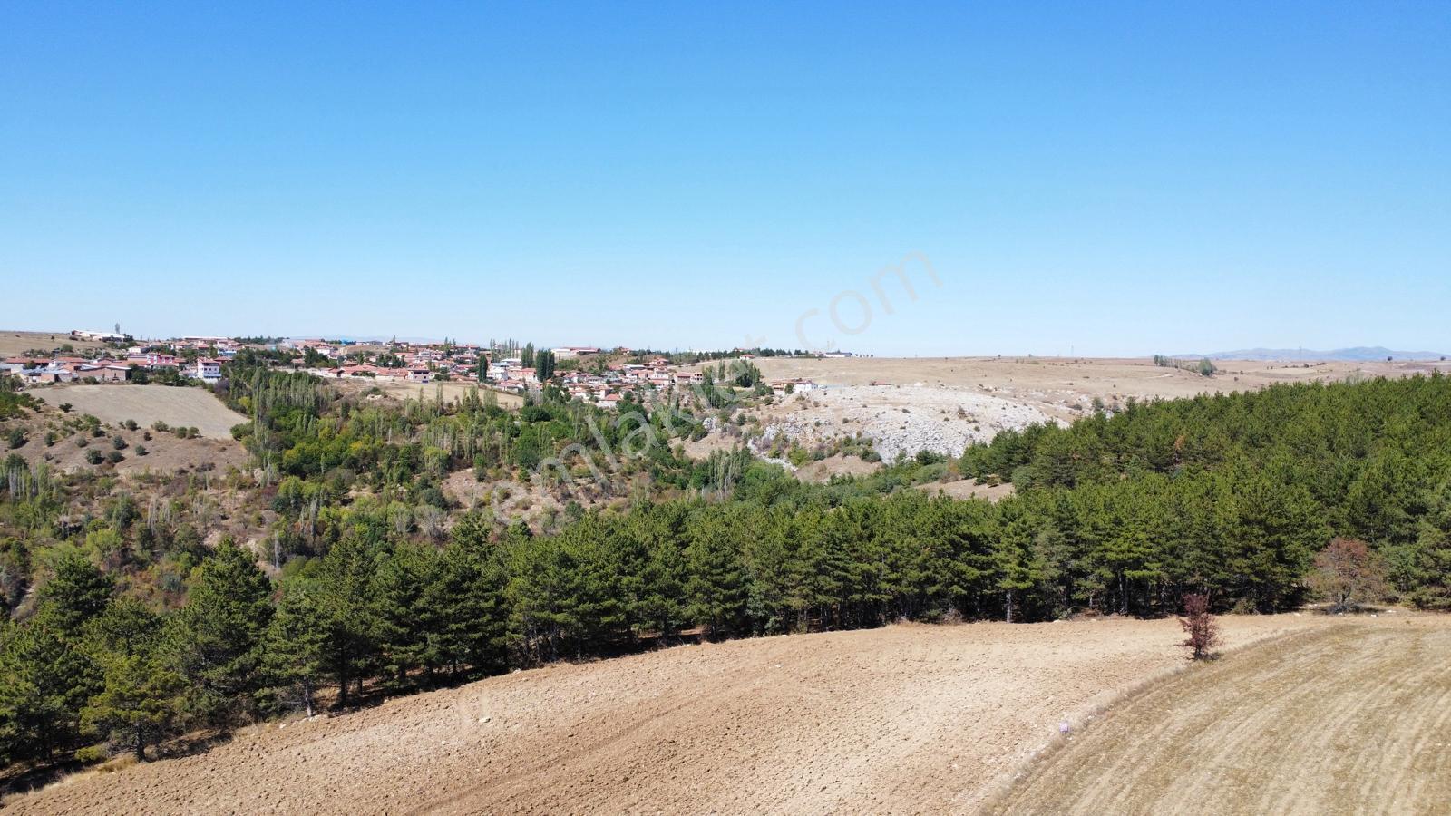 Çorum Merkez Turgut Köyünde Satılık Tarla - Görsel 14