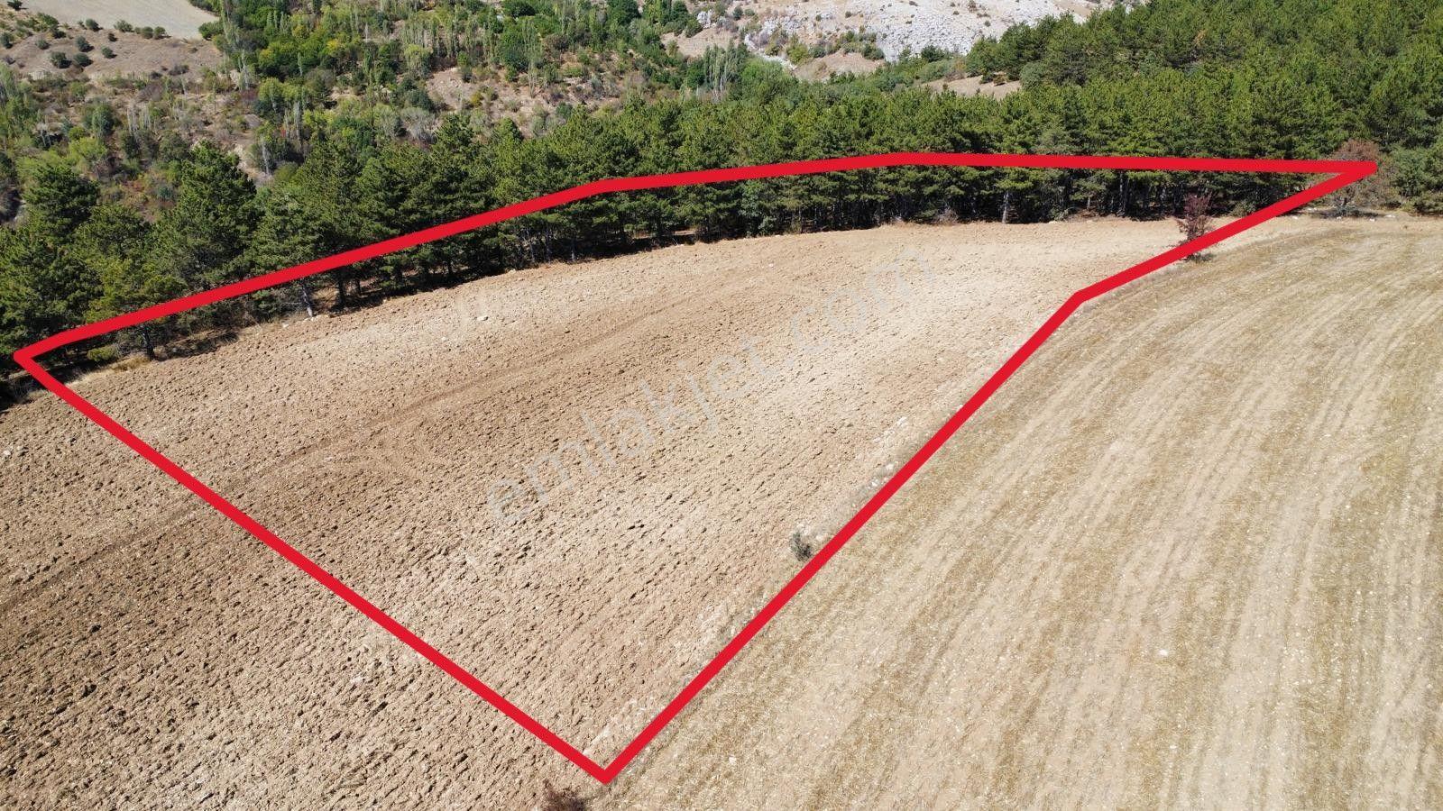 Çorum Merkez Turgut Köyünde Satılık Tarla - Görsel 10