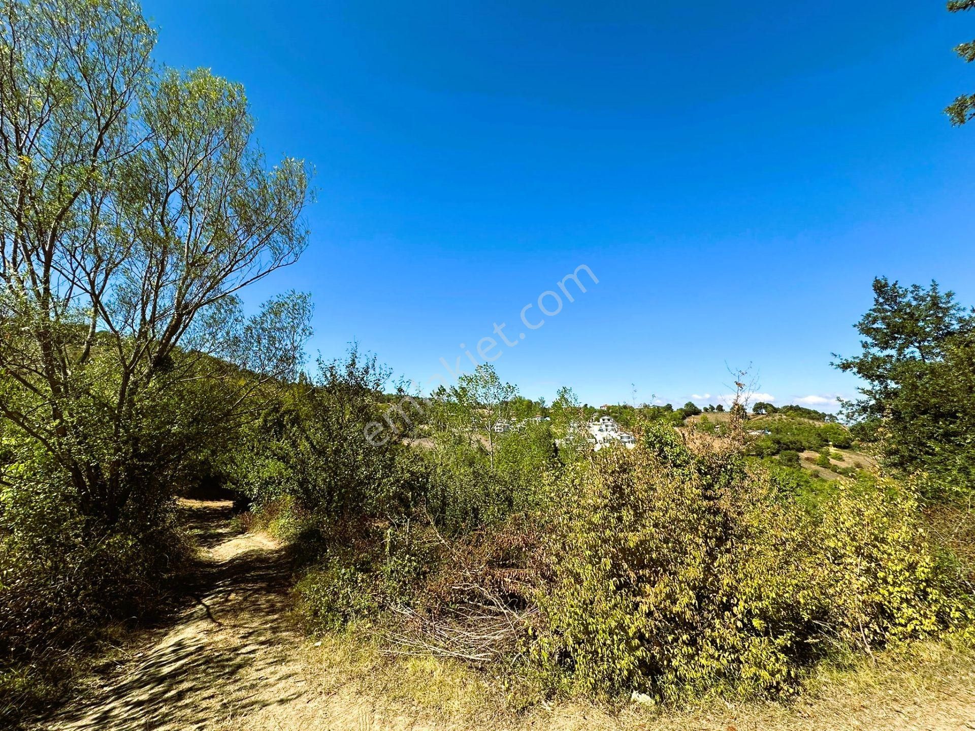 Sahibinden Yatırımlık Manzaralı Müstakil Tapulu - Görsel 8